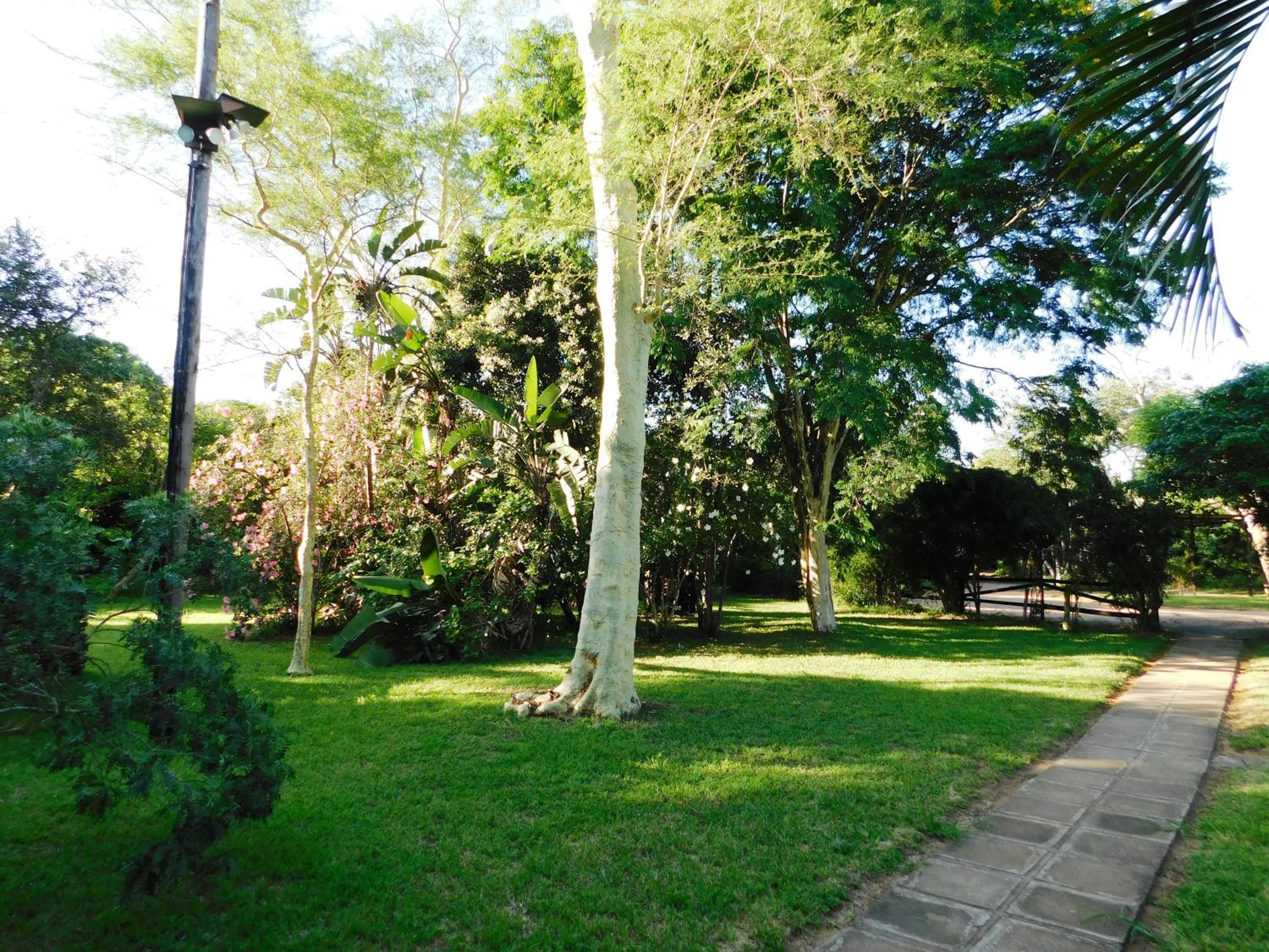Photo 20