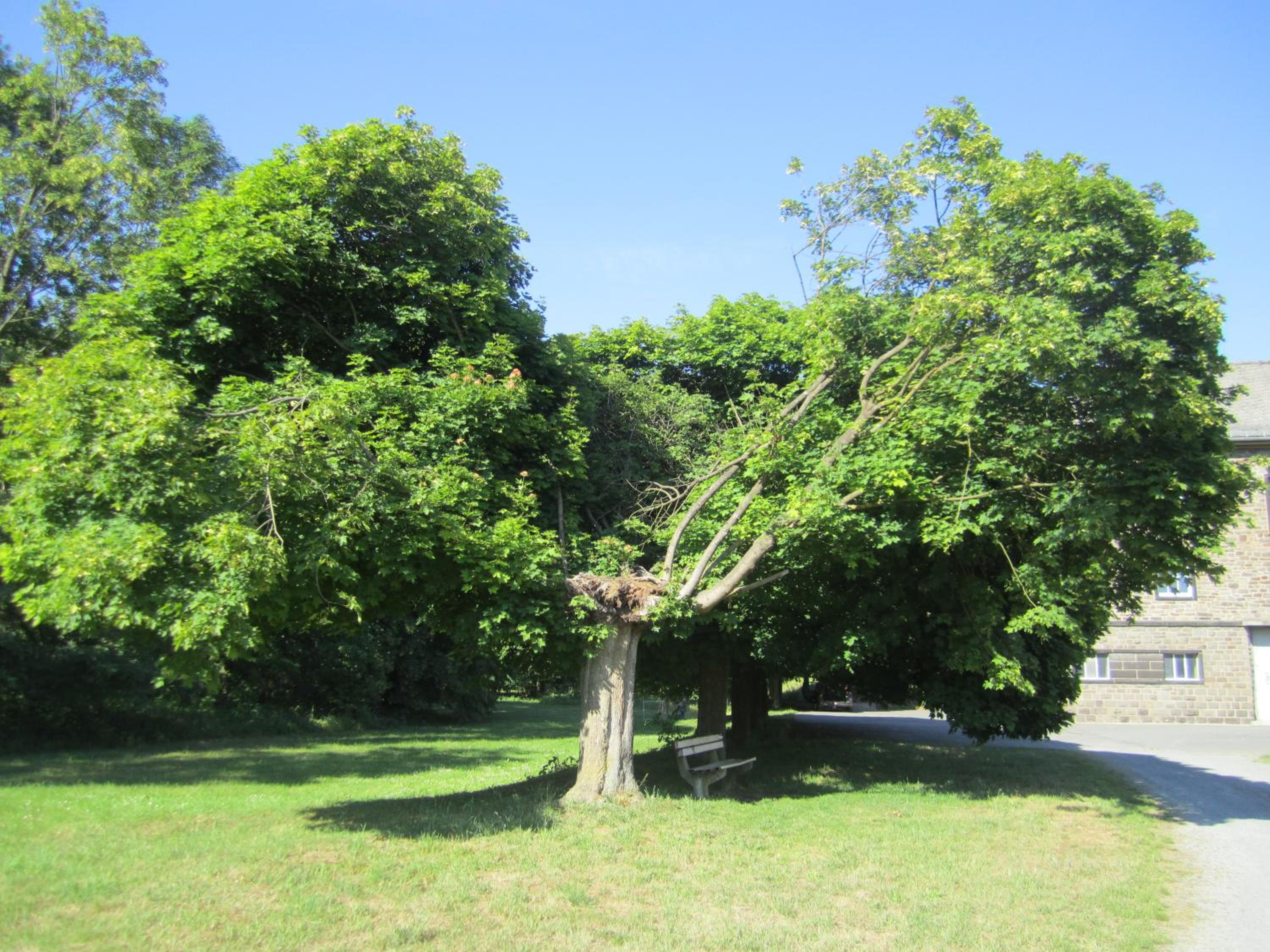 Photo 25