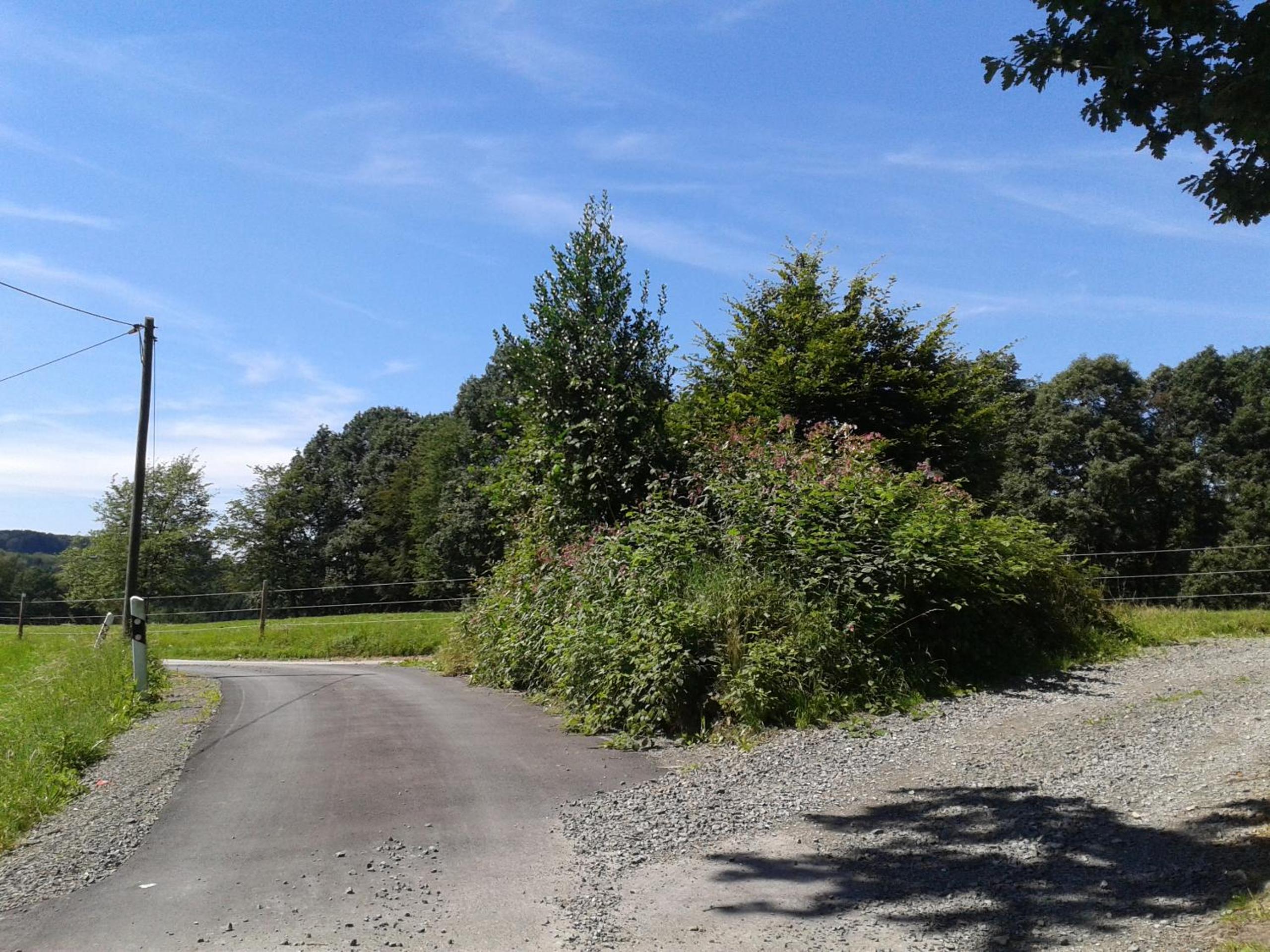 Photo 22