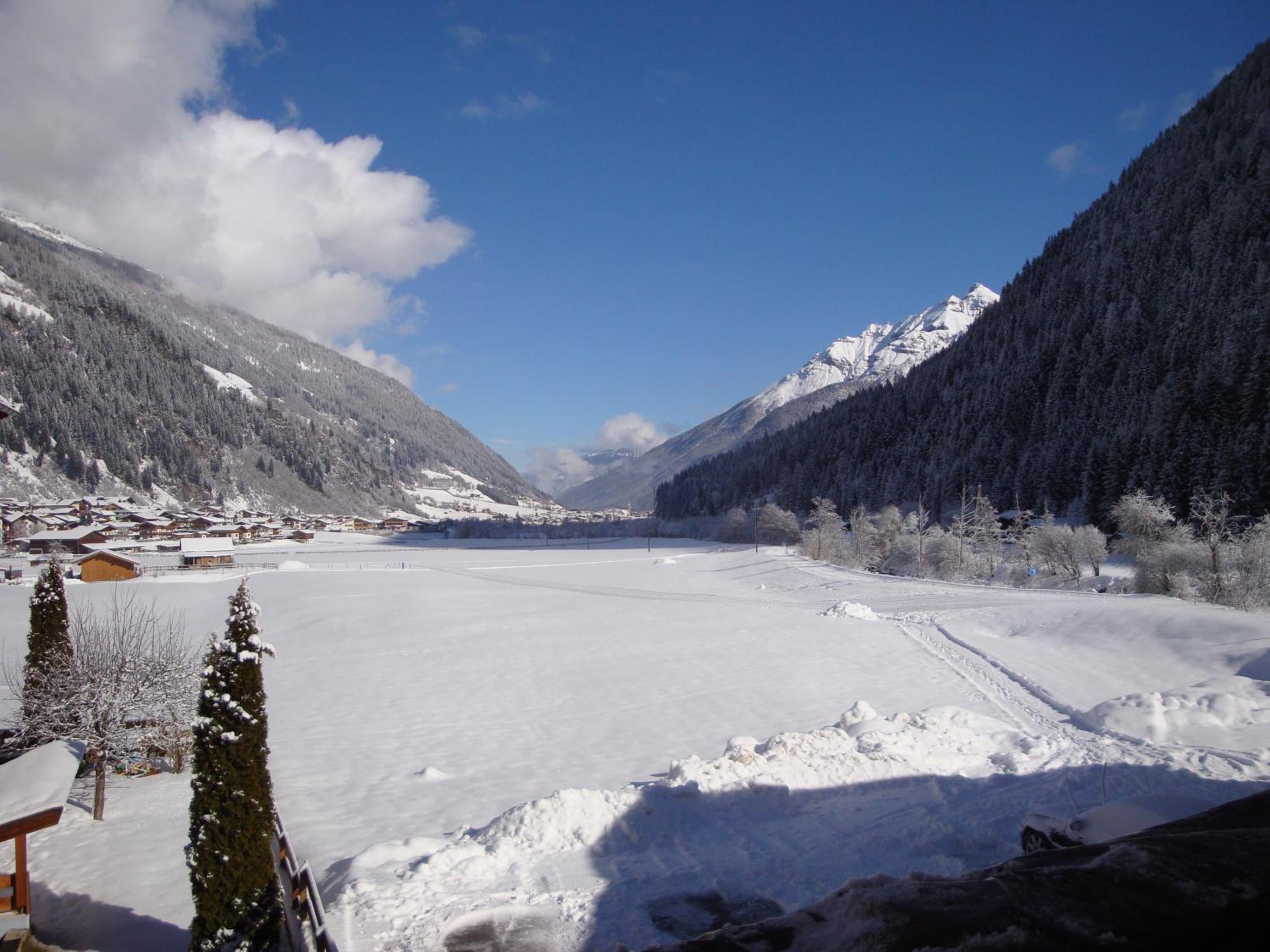 Photo 48