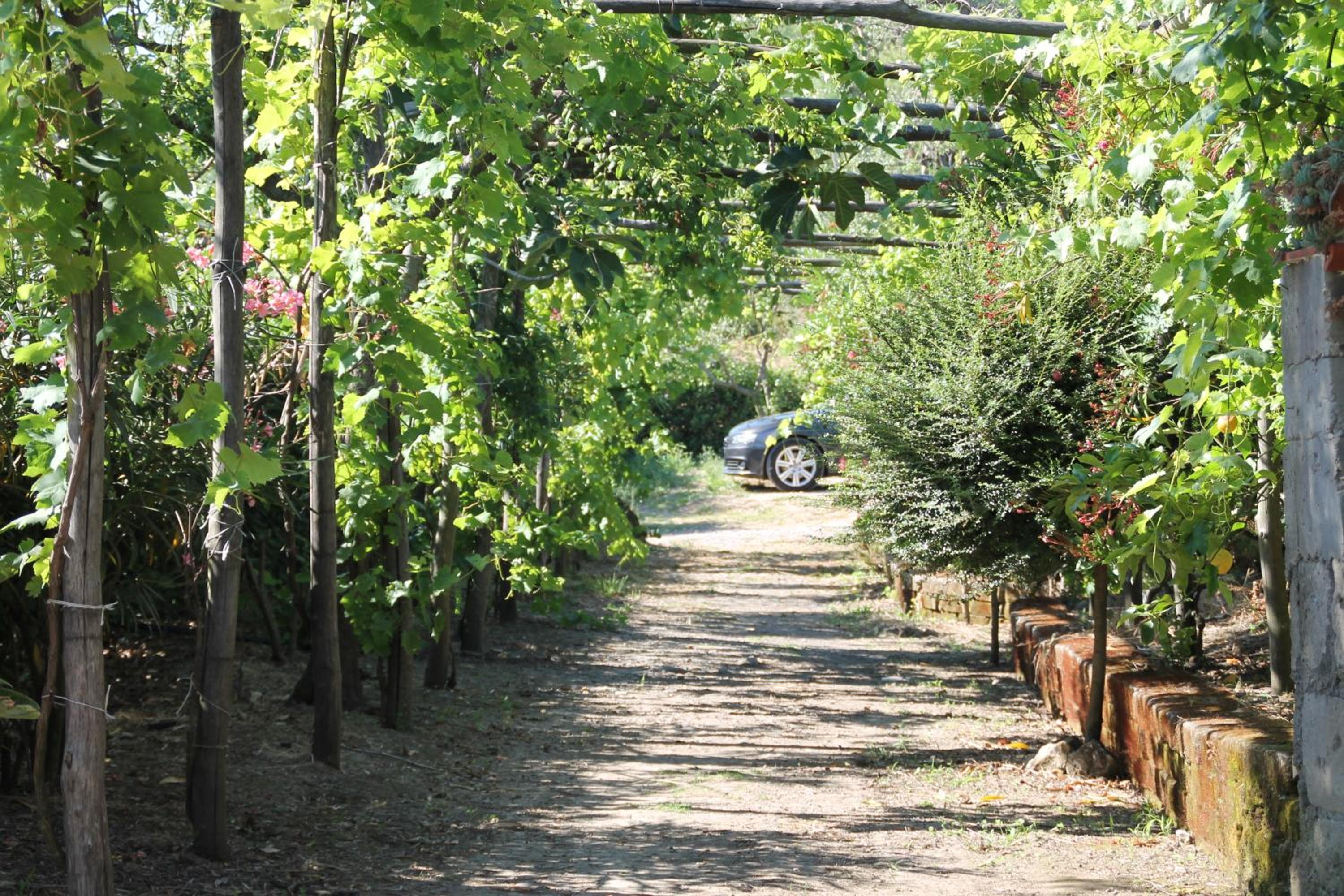 Agriturismo Piccolo Paradiso