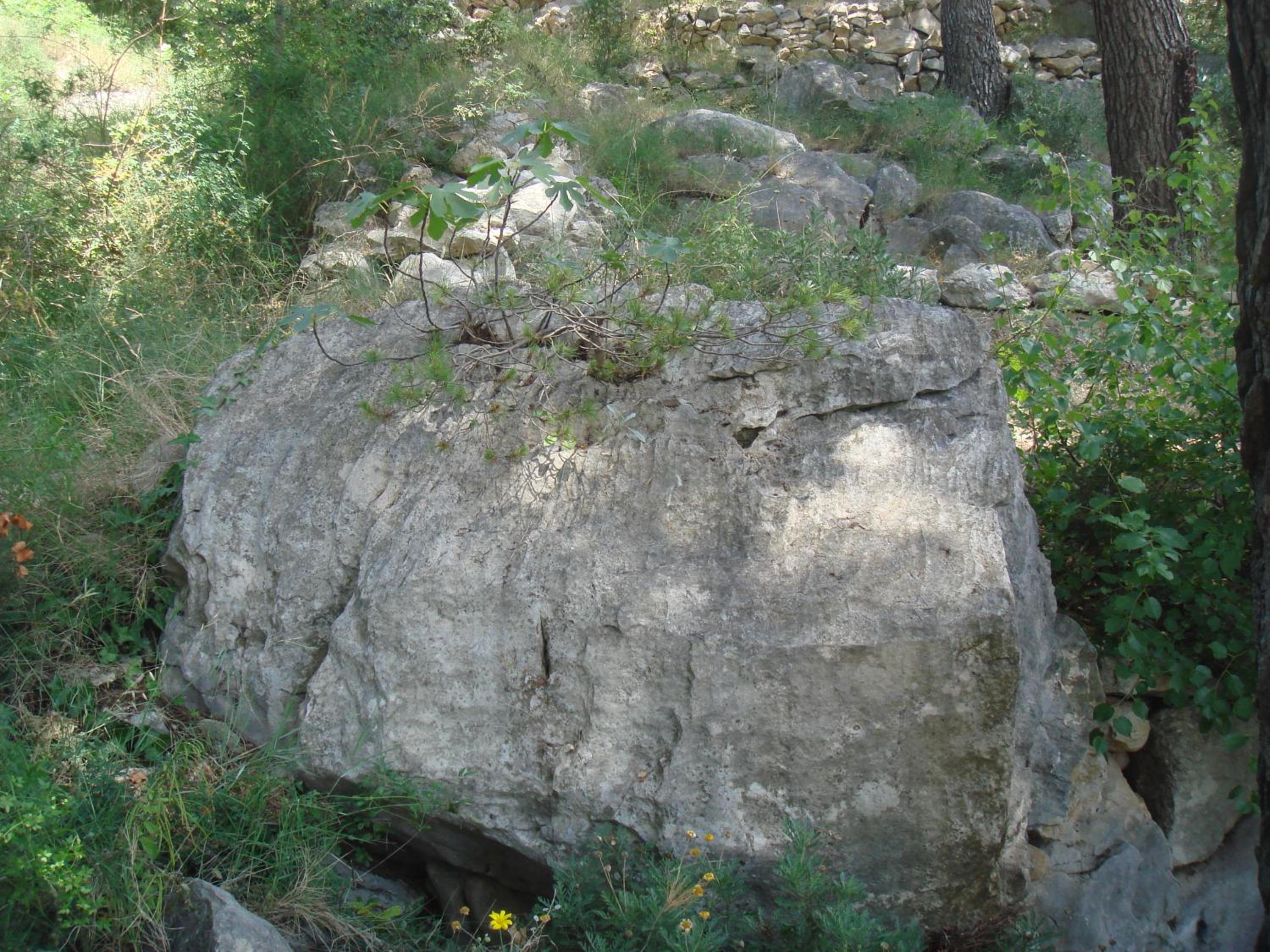 Photo 30