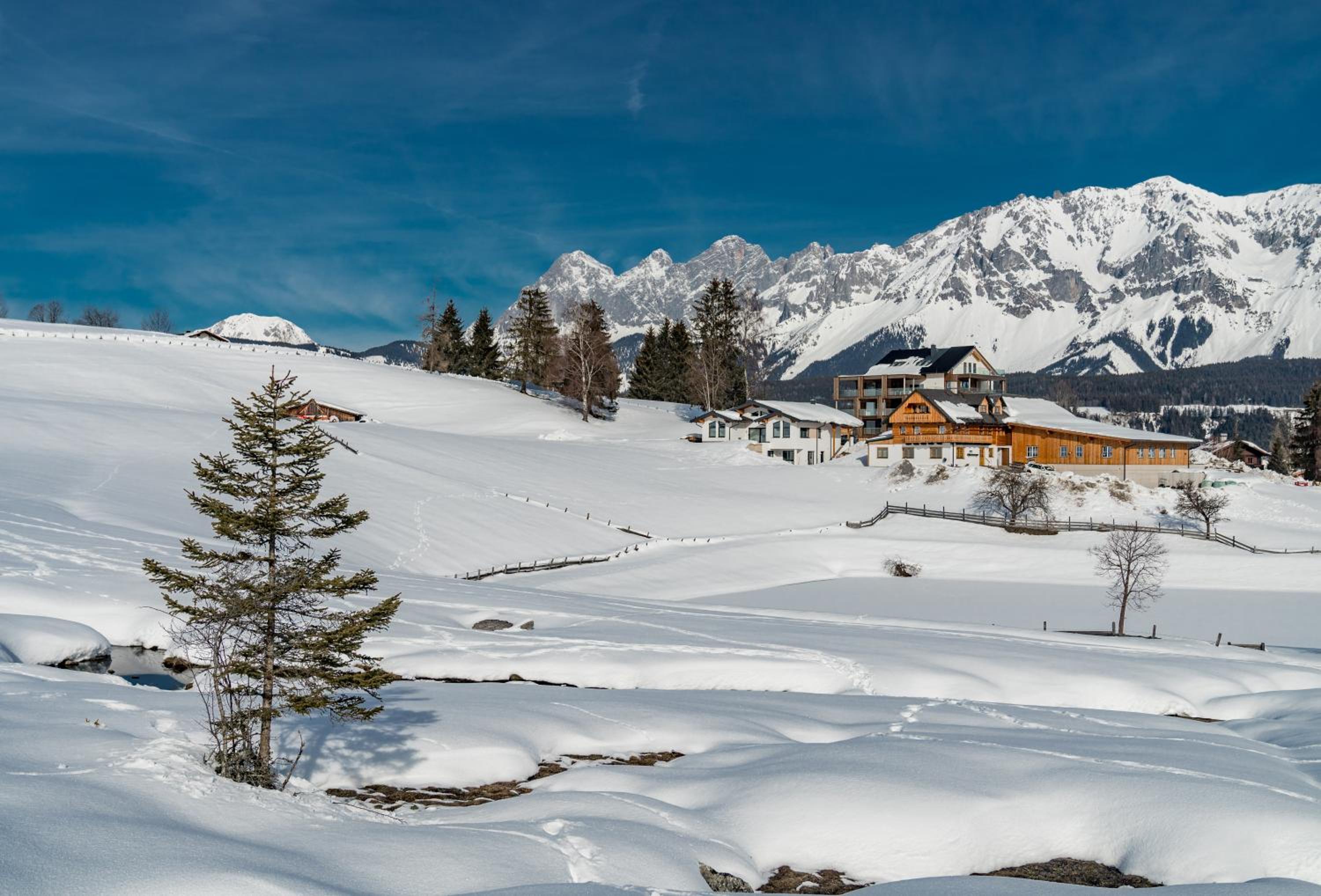 Appartement - das kleine Bleiberger by Schladmingurlaub
