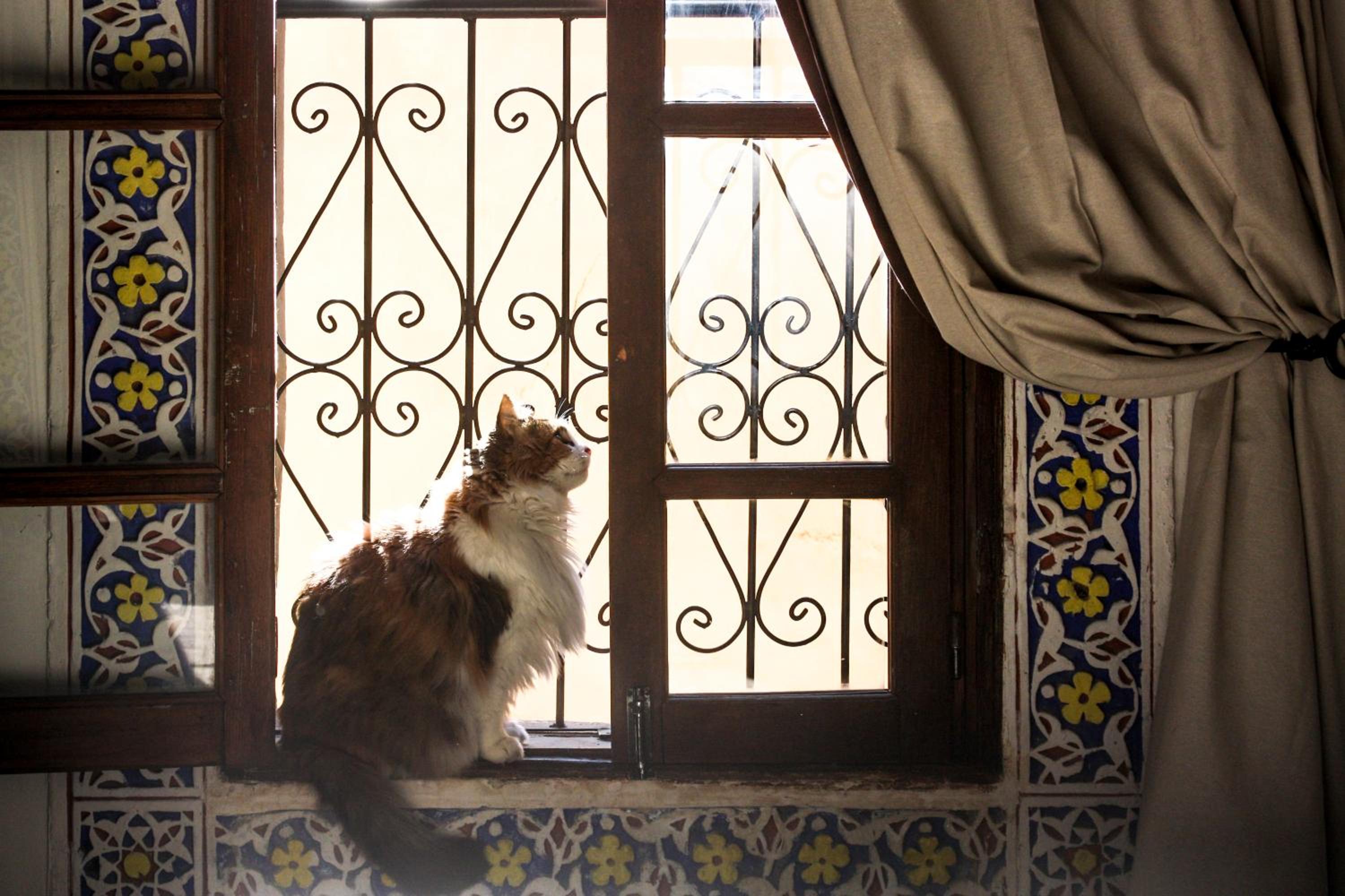 Dar El Bali