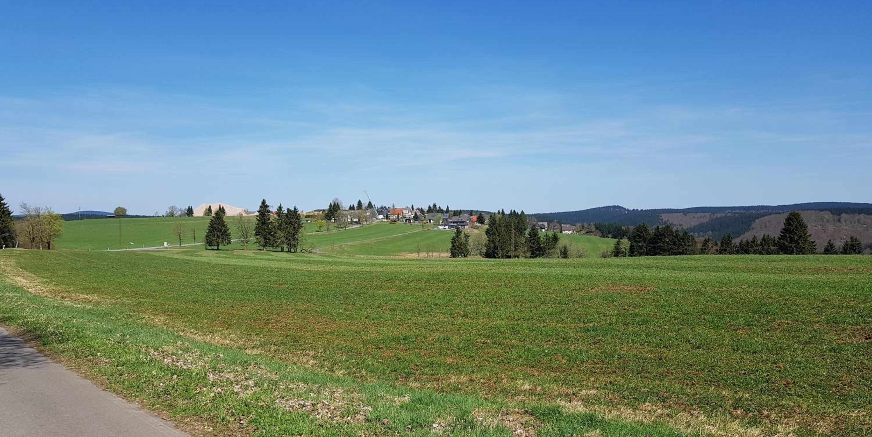 Photo 29