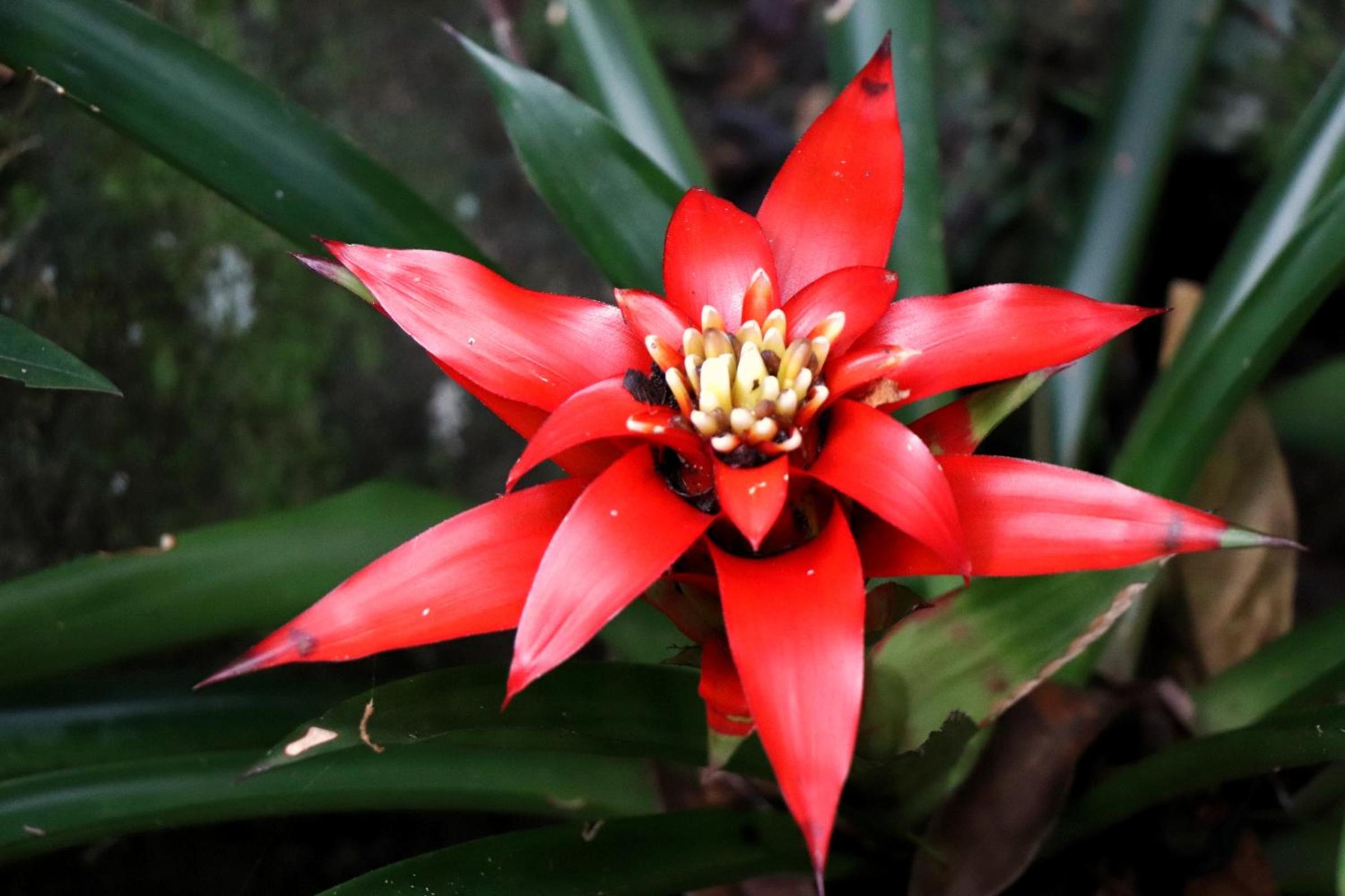Pousada Santa Thereza
