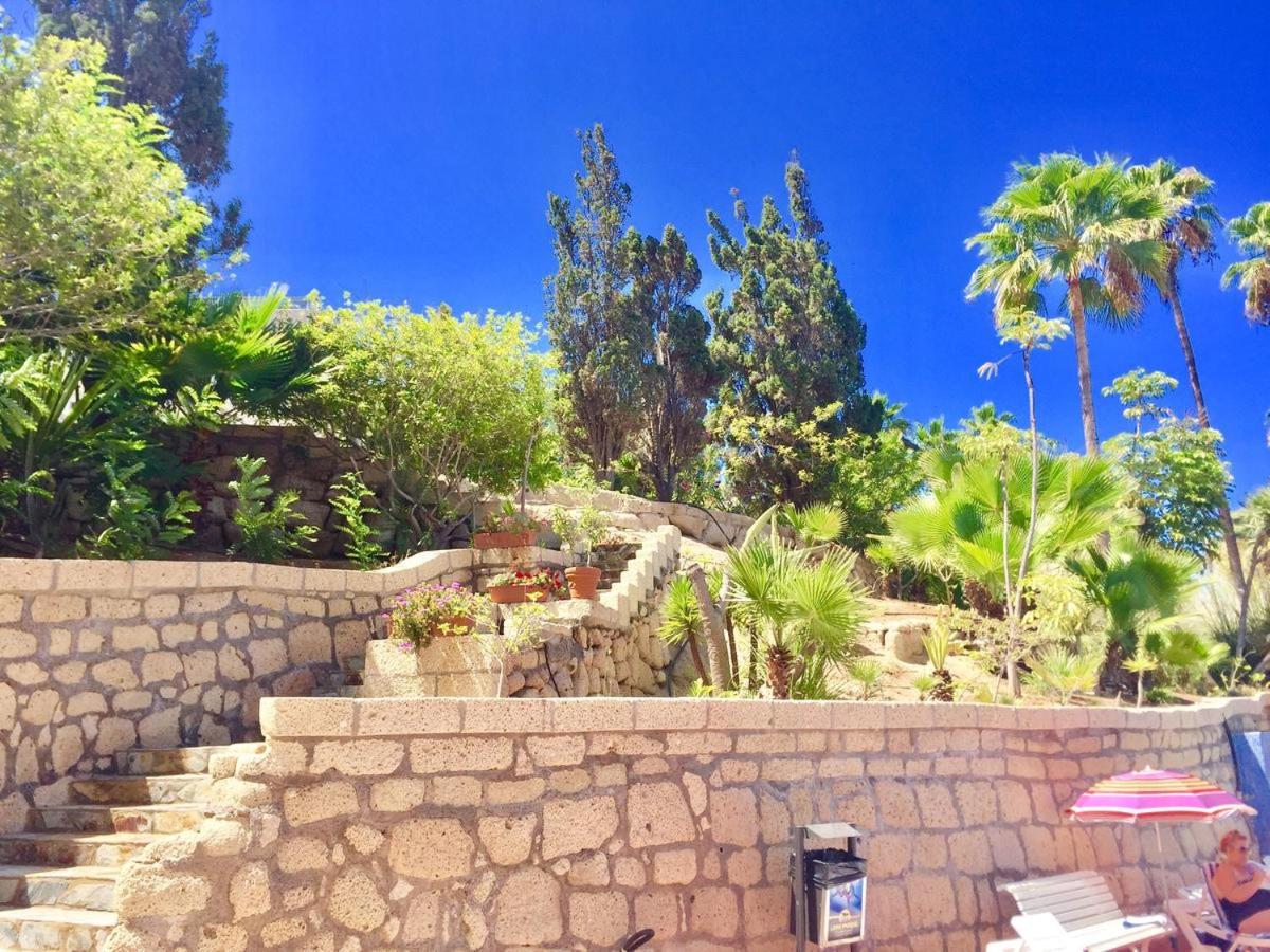 Relax Tropical Las Americas - TENESOL RENTALS view 5