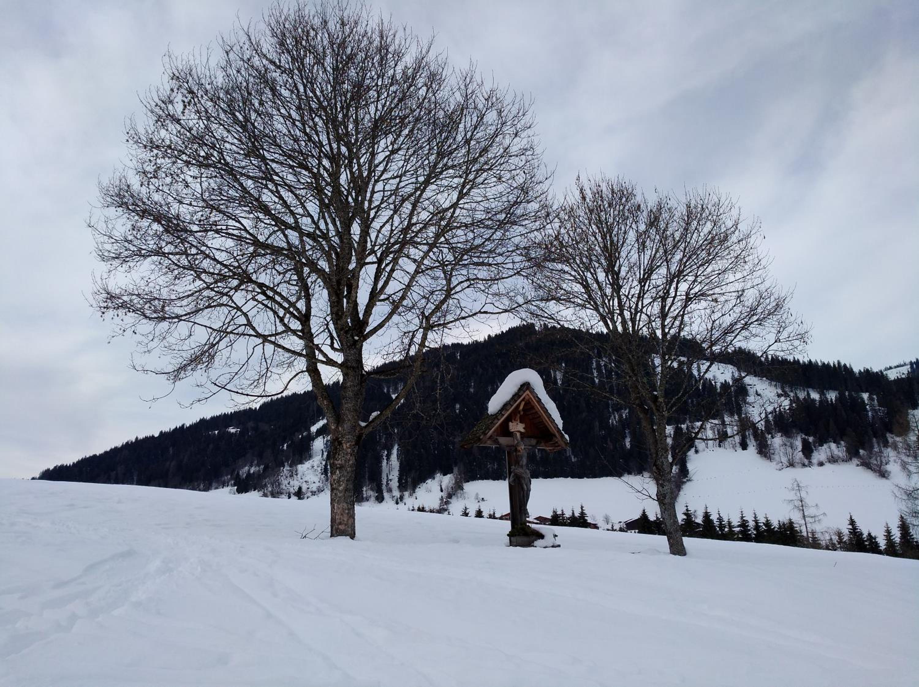 Appartements Haus Bergland