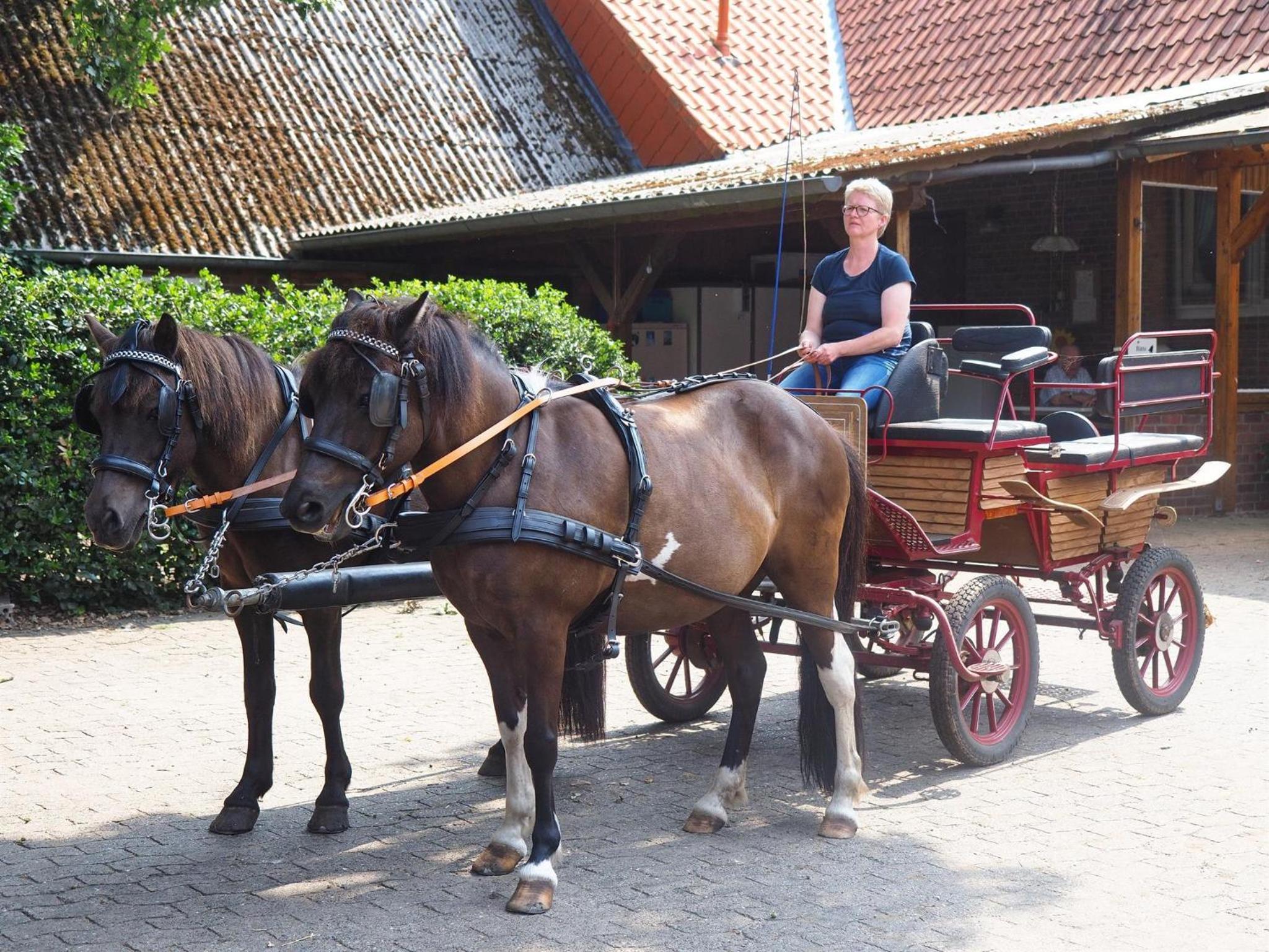 Ferienhof Scholbe en Schneverdingen — other