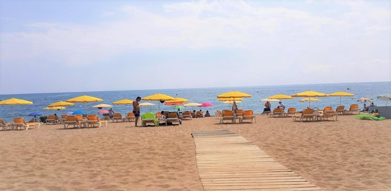 Photo 44