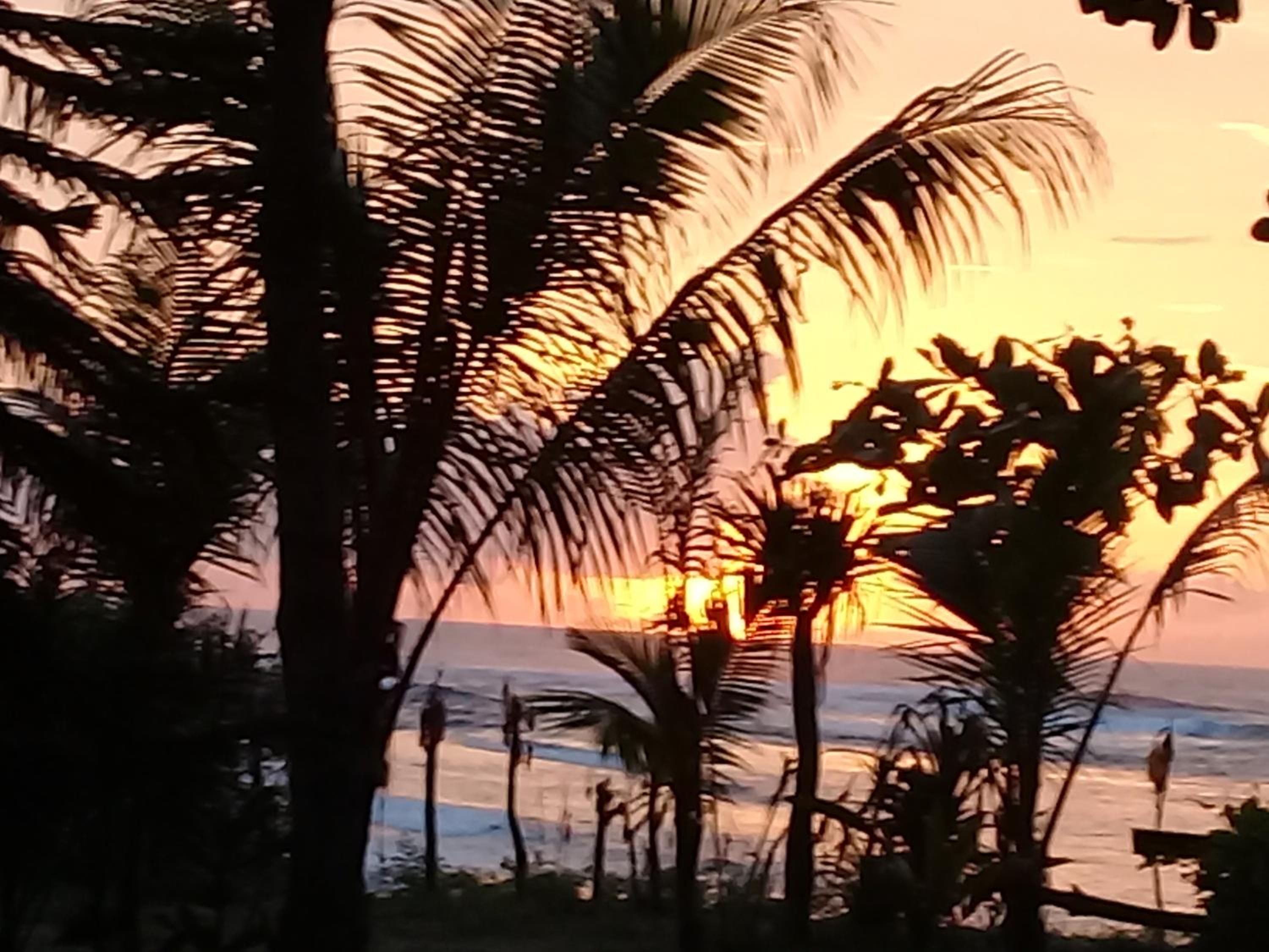 Castaway Surf Retreat view 5