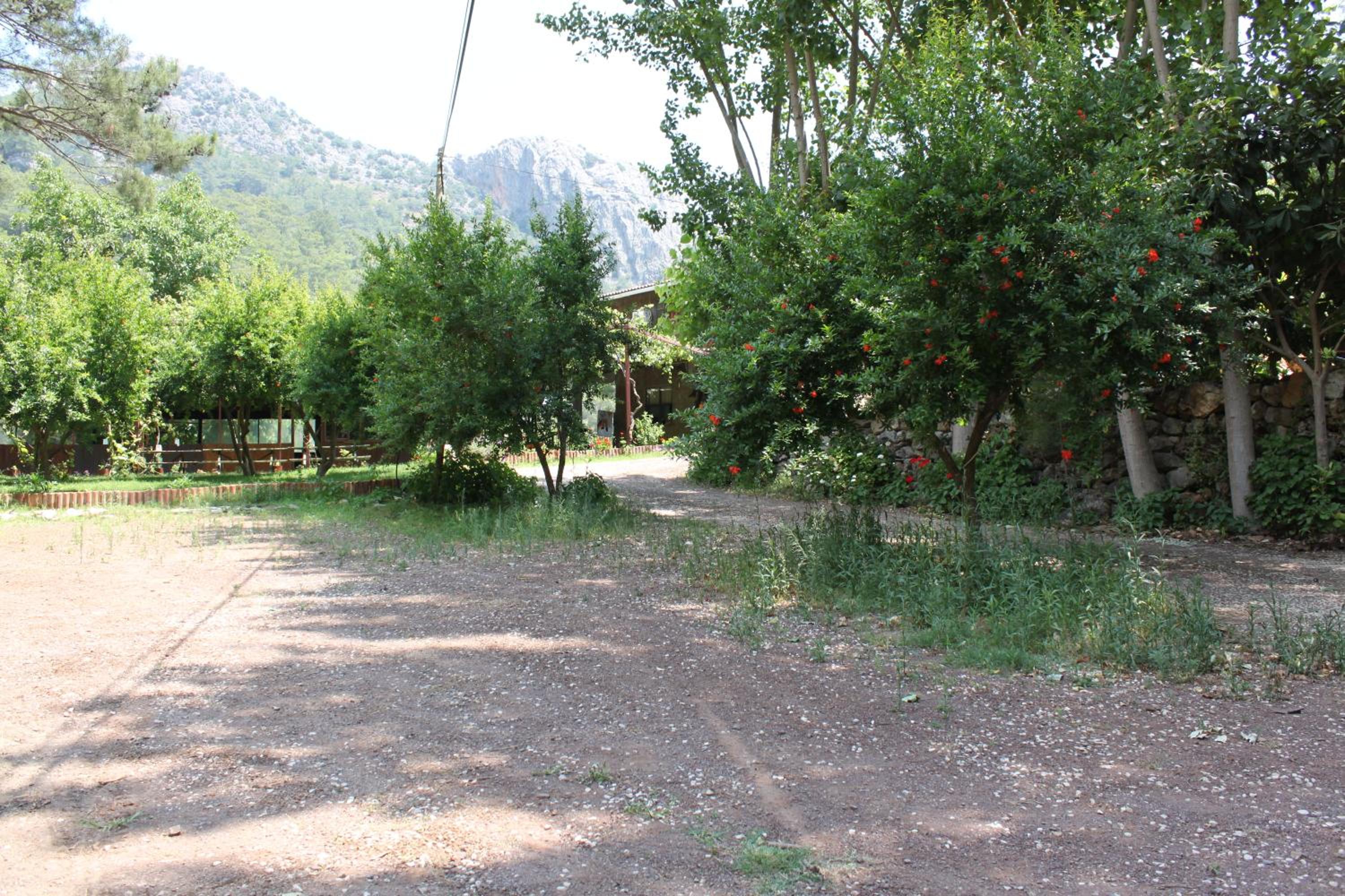 Photo 43