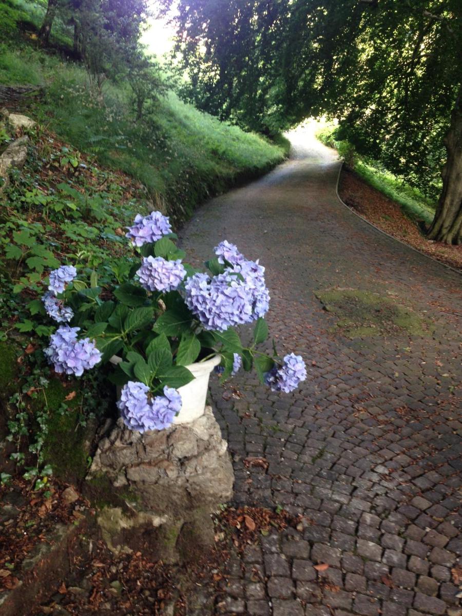 I Faggi di S. Giorgio, photo 20