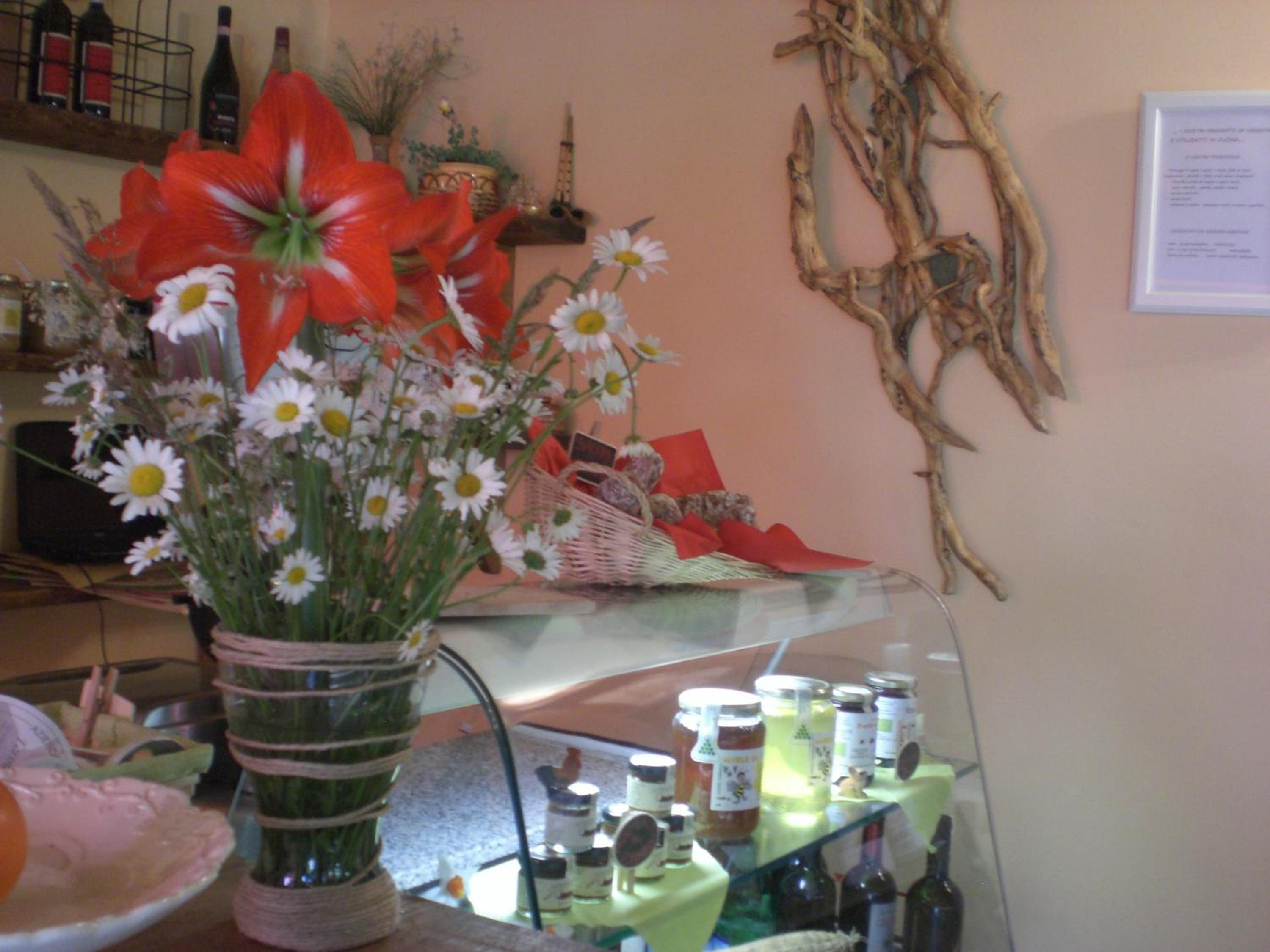 Agriturismo Le Radici
