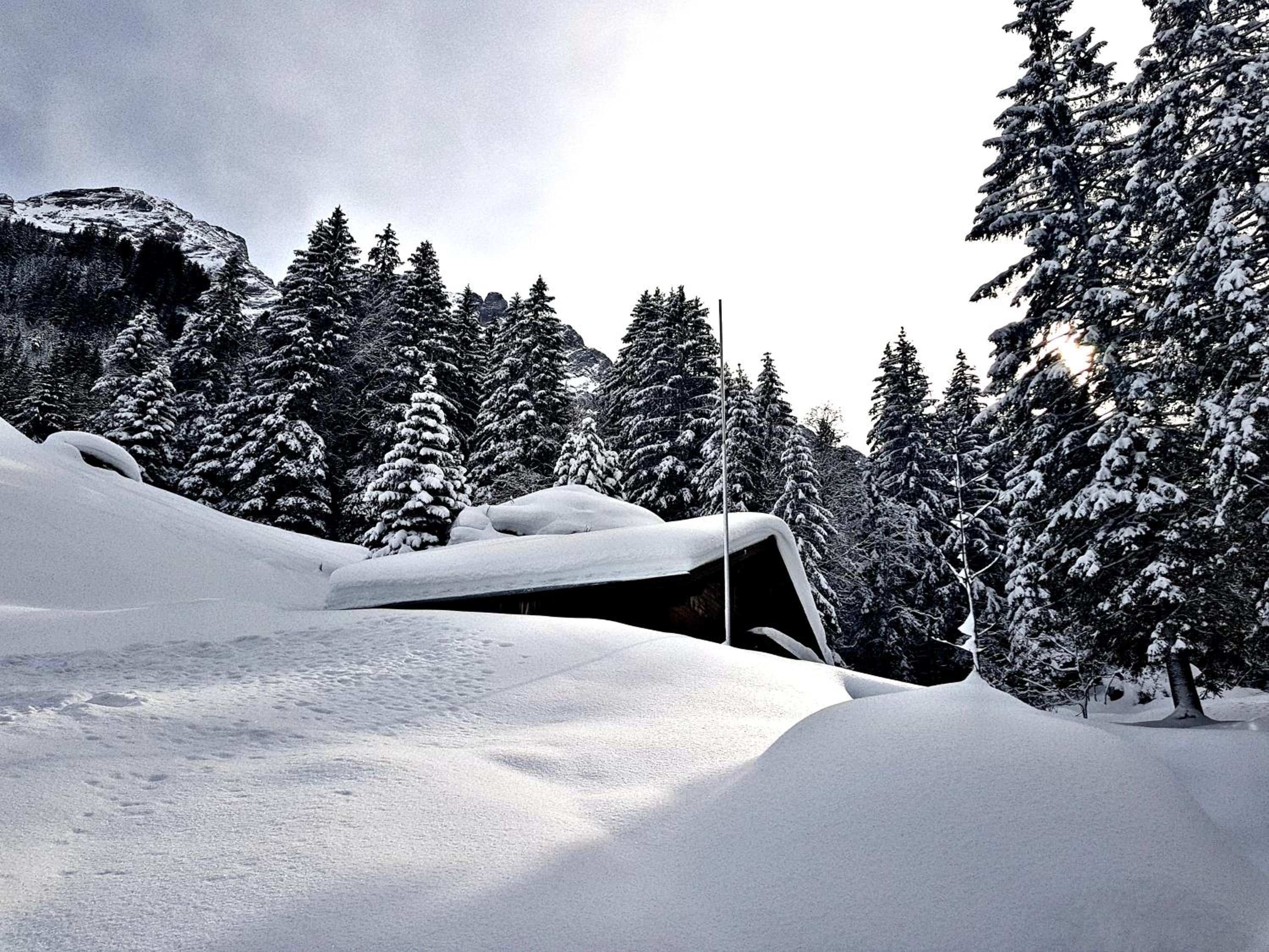 Alpenlodge view 5