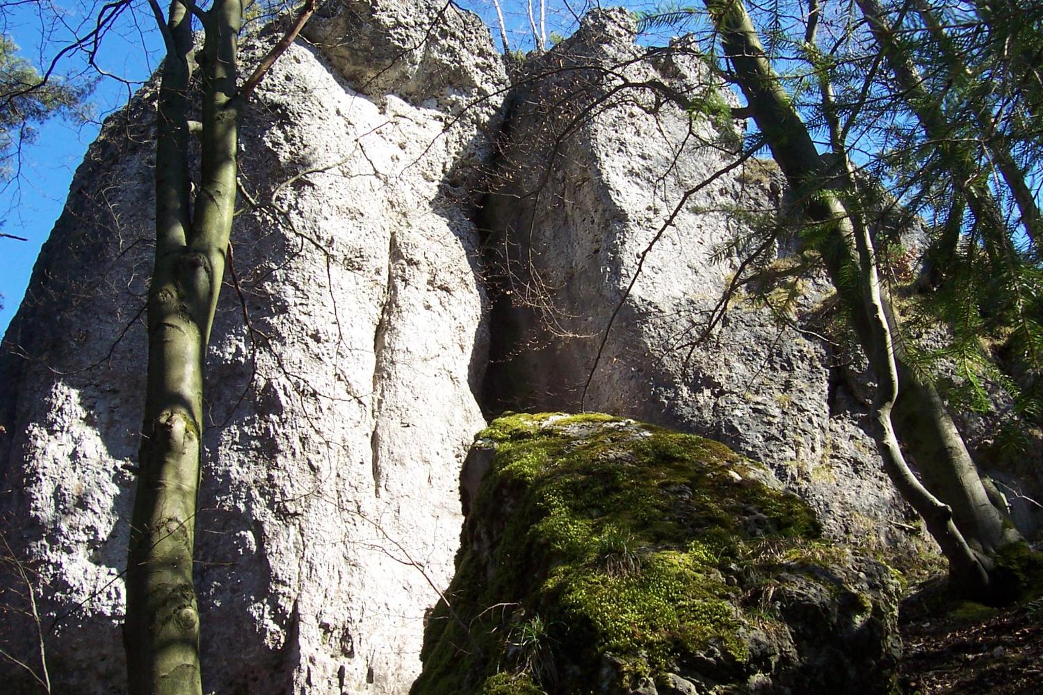 Photo 20