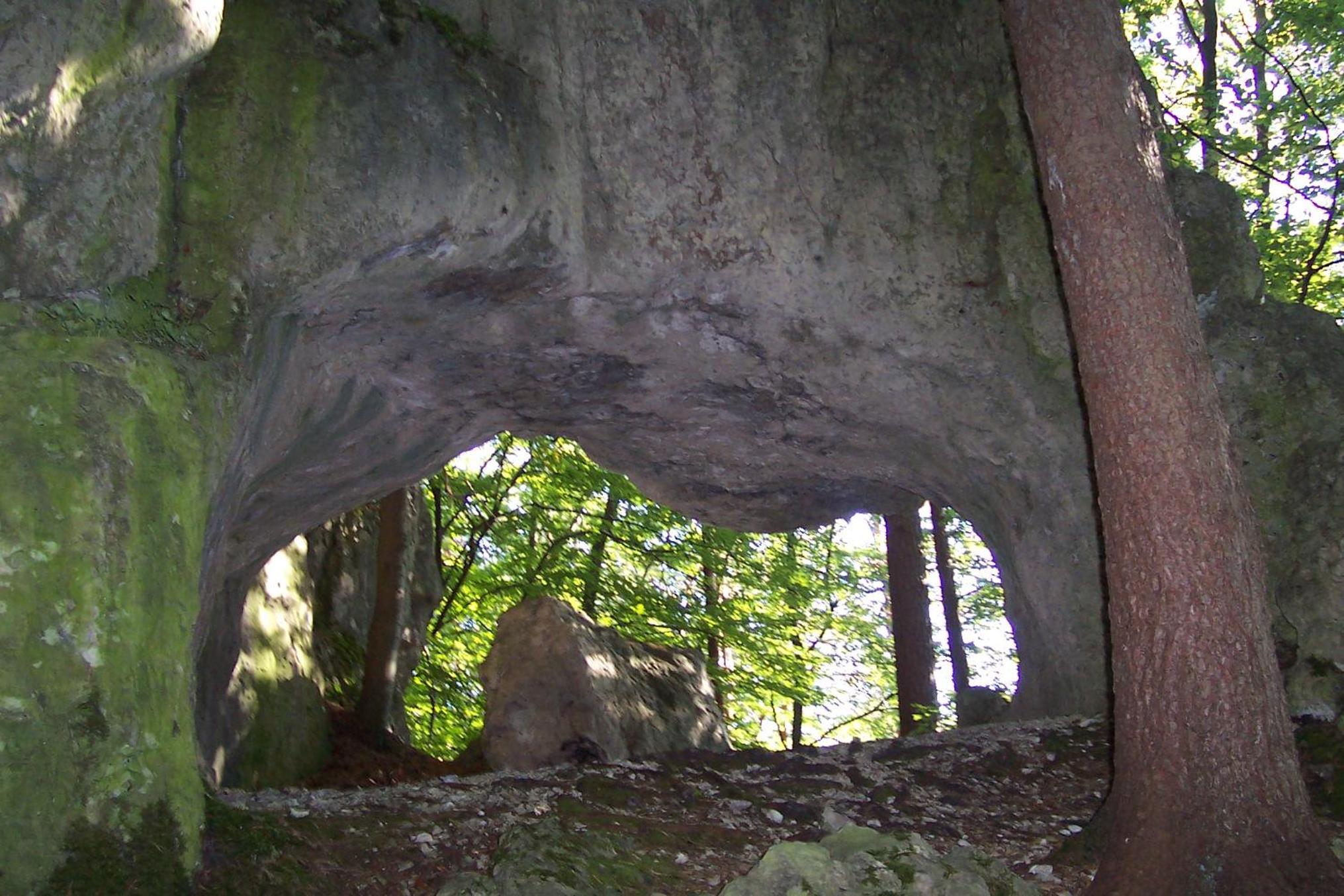 Photo 21