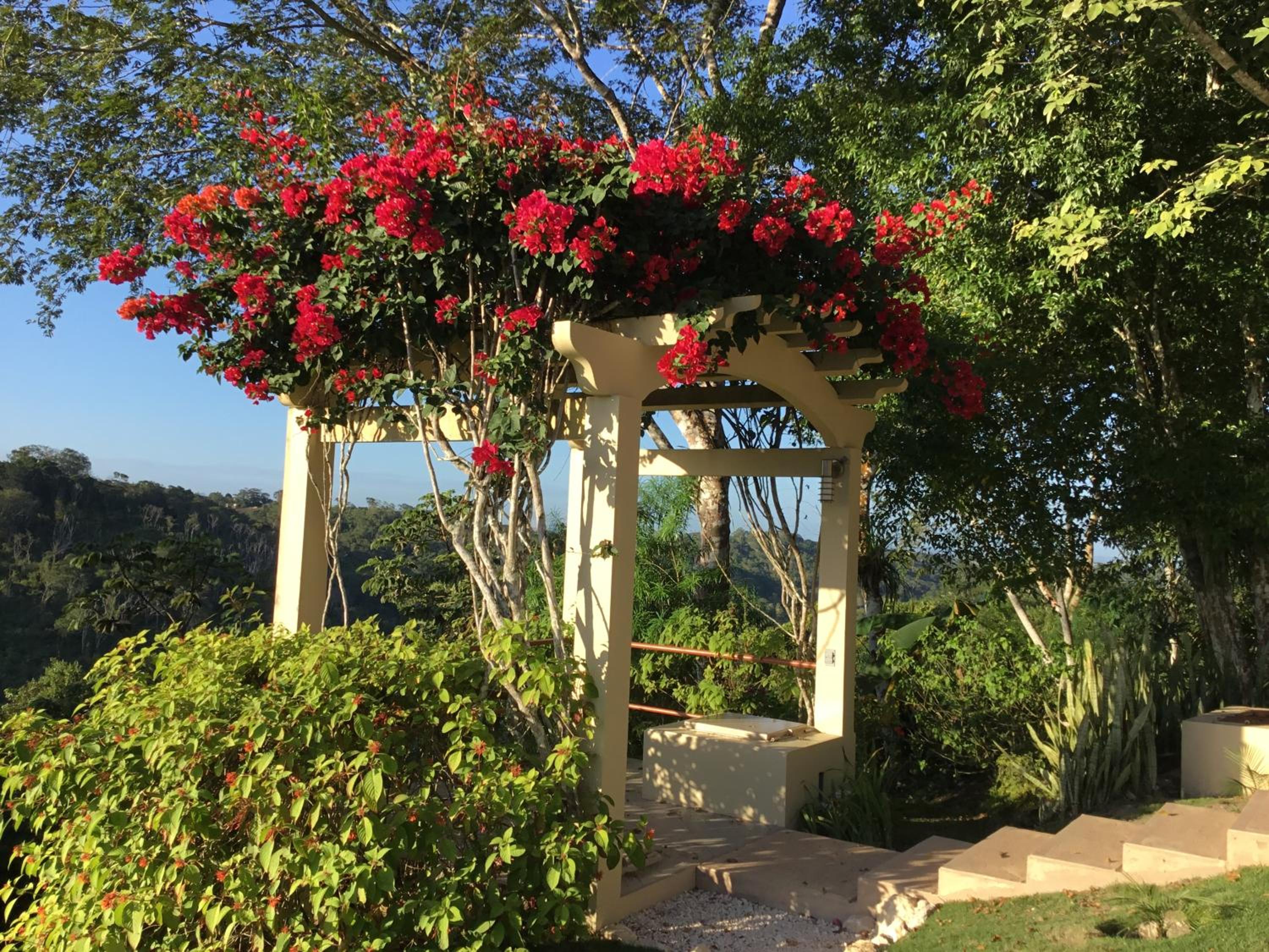 Belize Vacations - Villa Cayo - Property Image 32