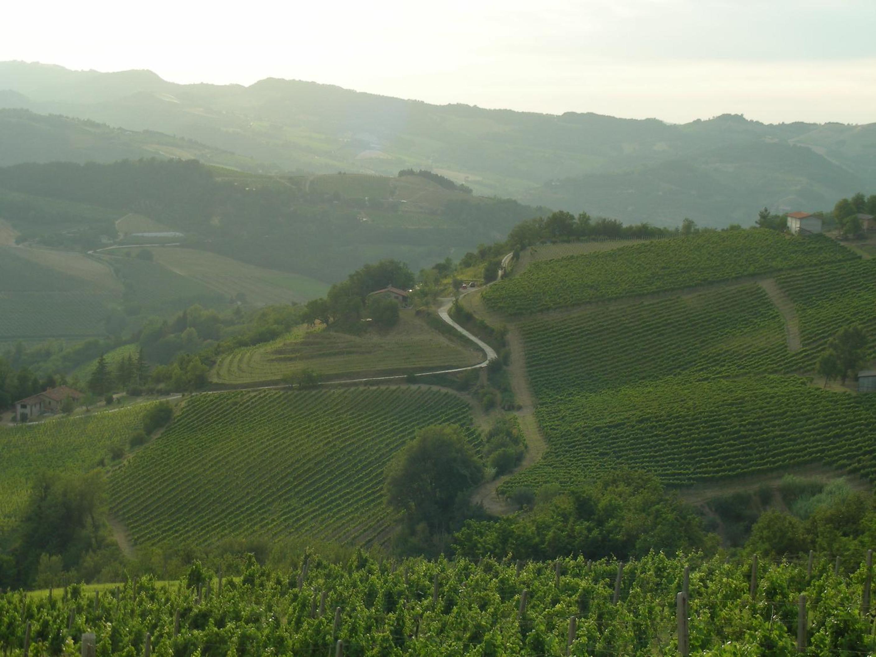 Podere Quartarola