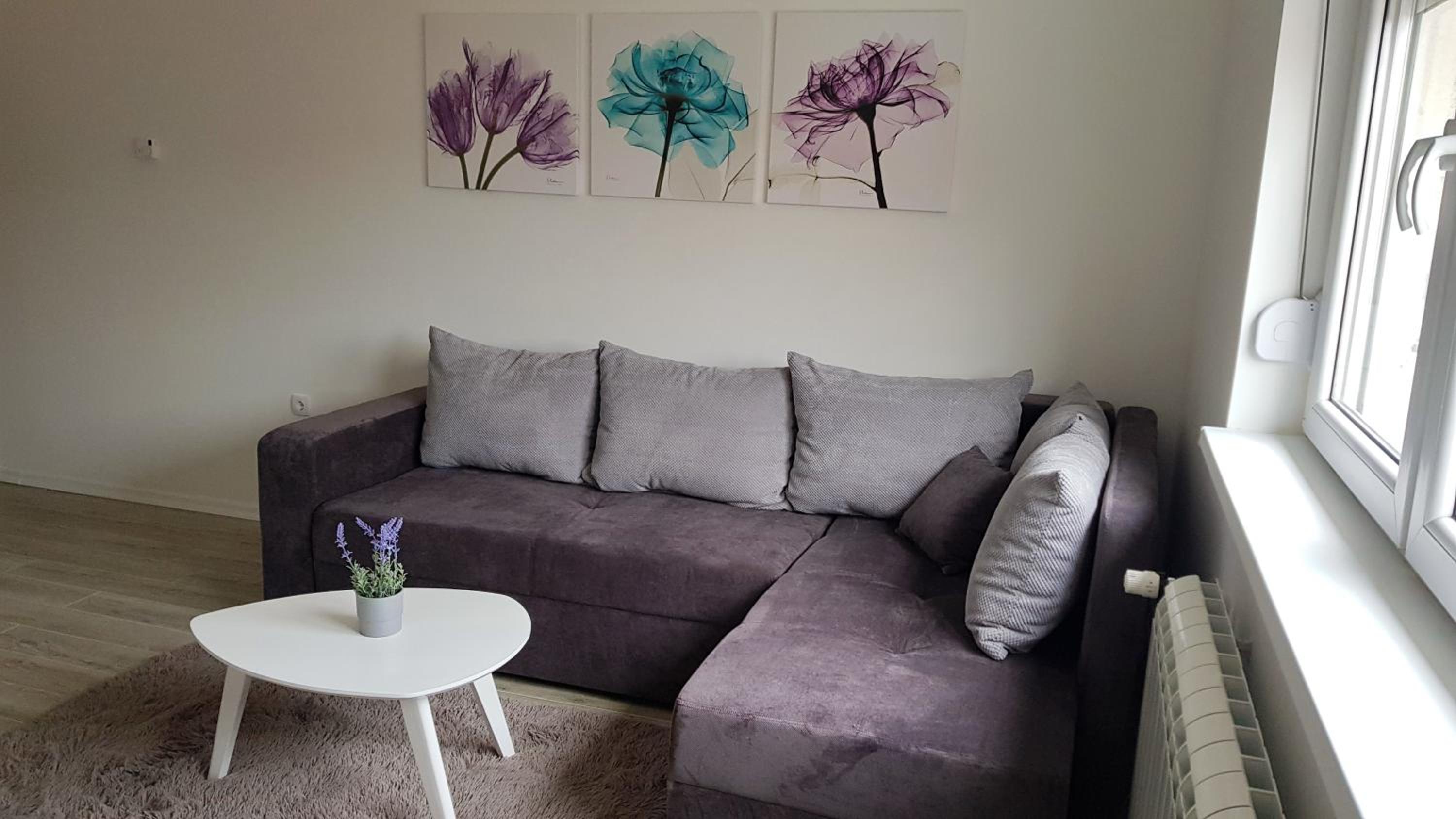 Apartments Spring view 5