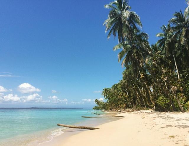Play to Live San Blas view 3