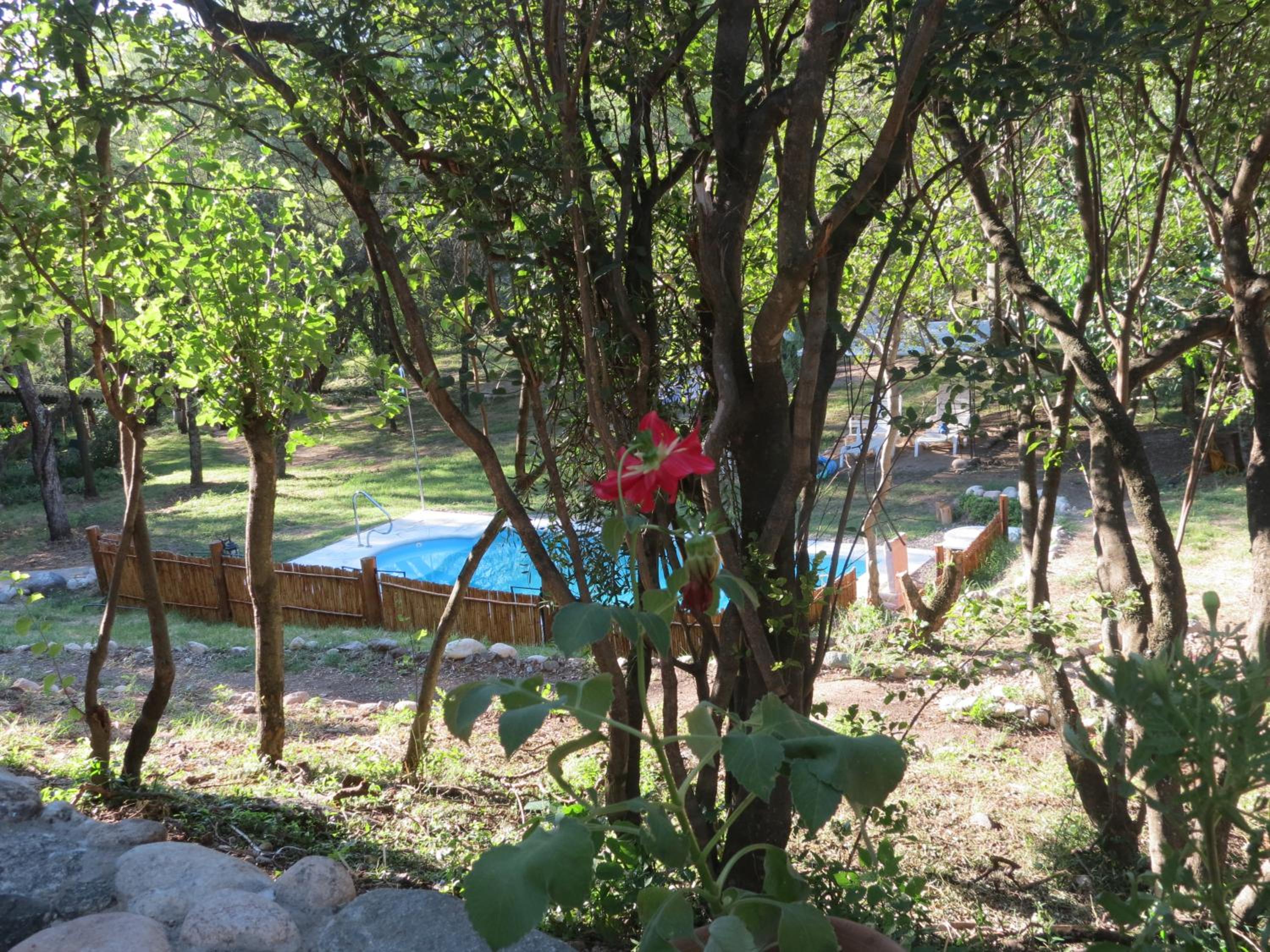 Balaramapuri Eco Veggie Hostel