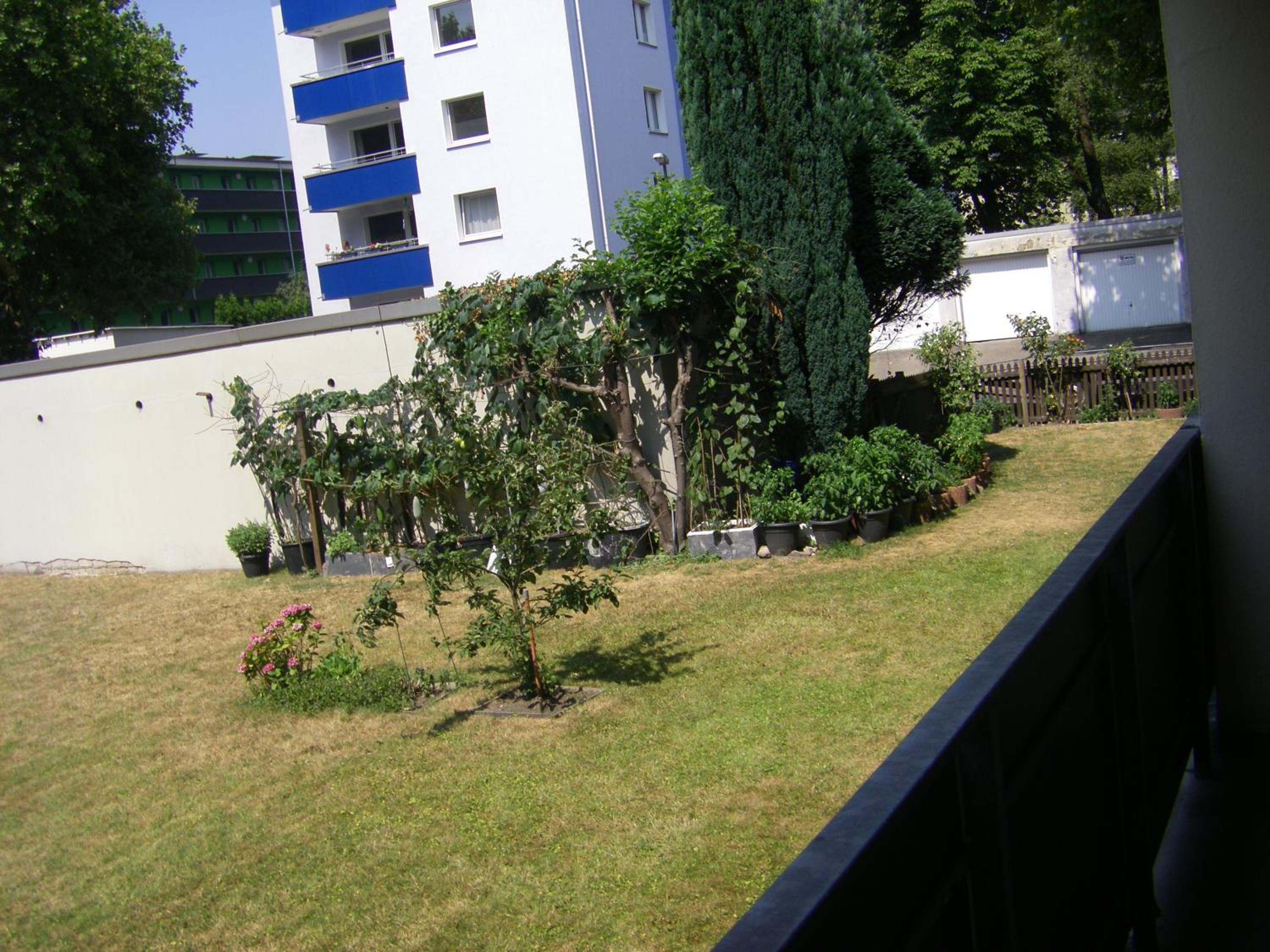 Photo 31