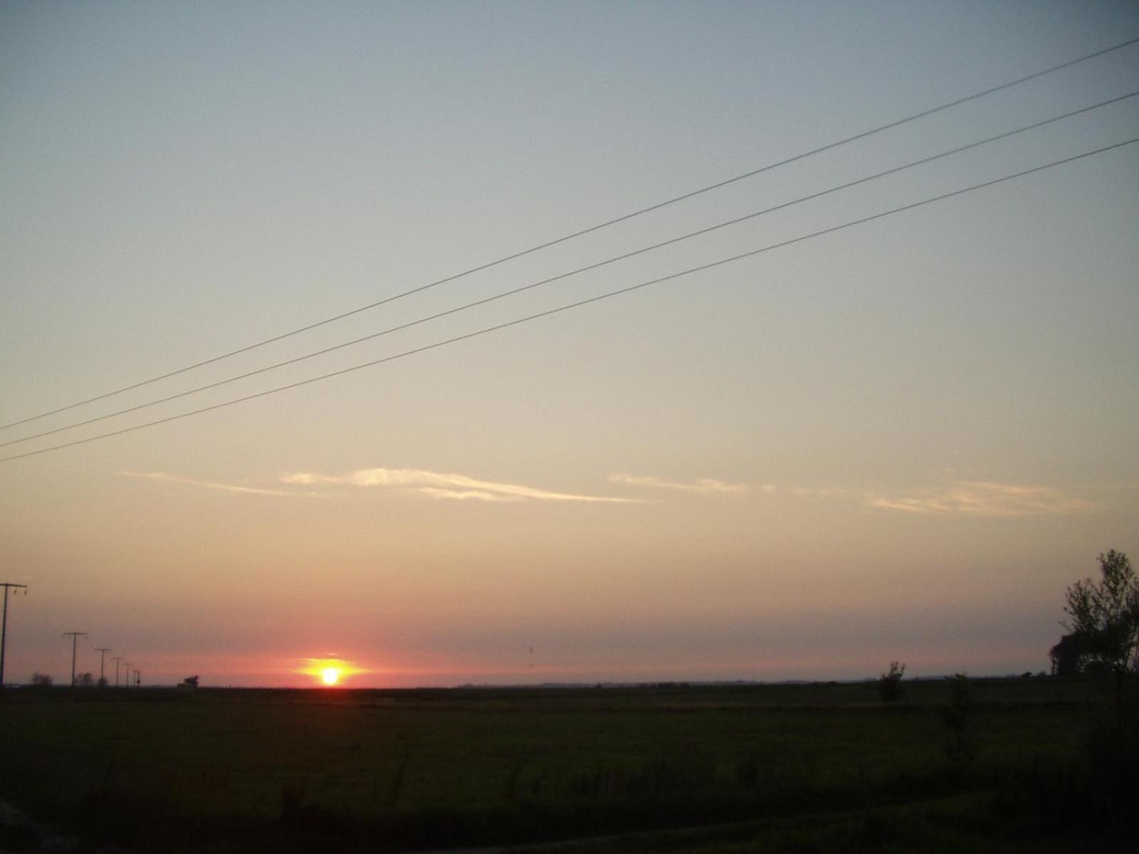 Photo 35