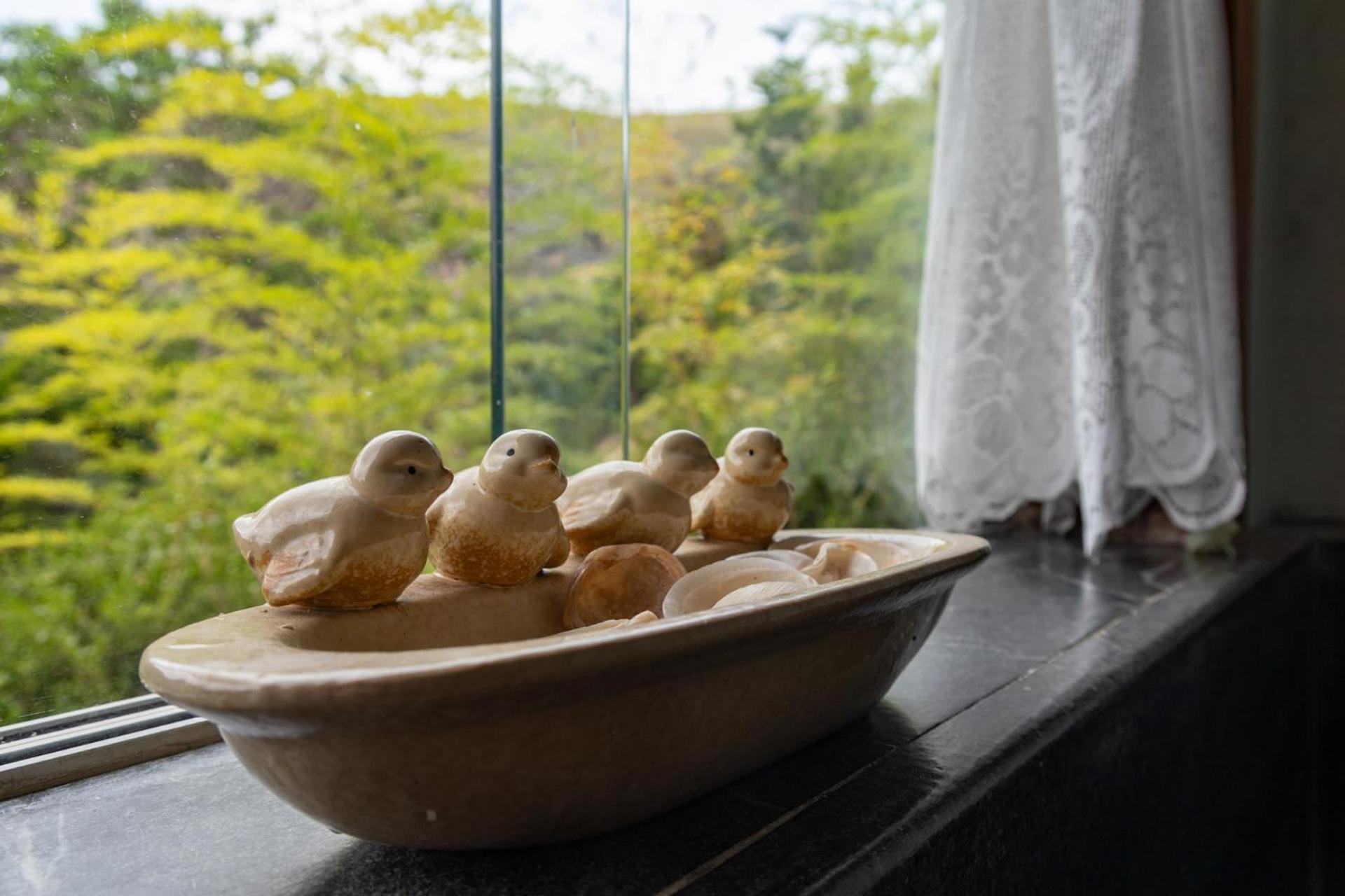 Altamira Eco Retreat