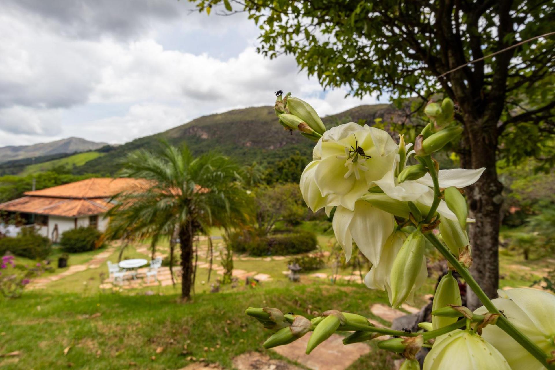 Altamira Eco Retreat