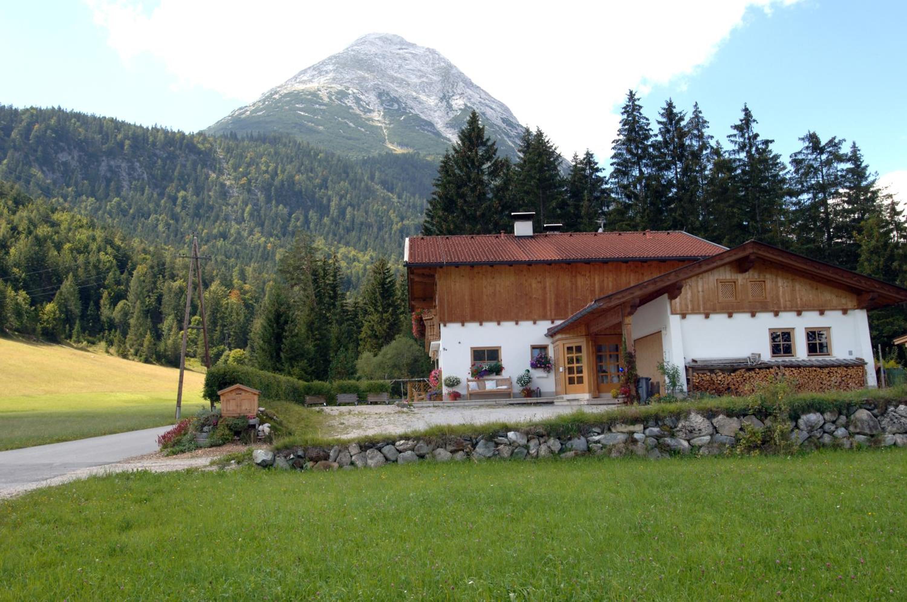 Photo 21