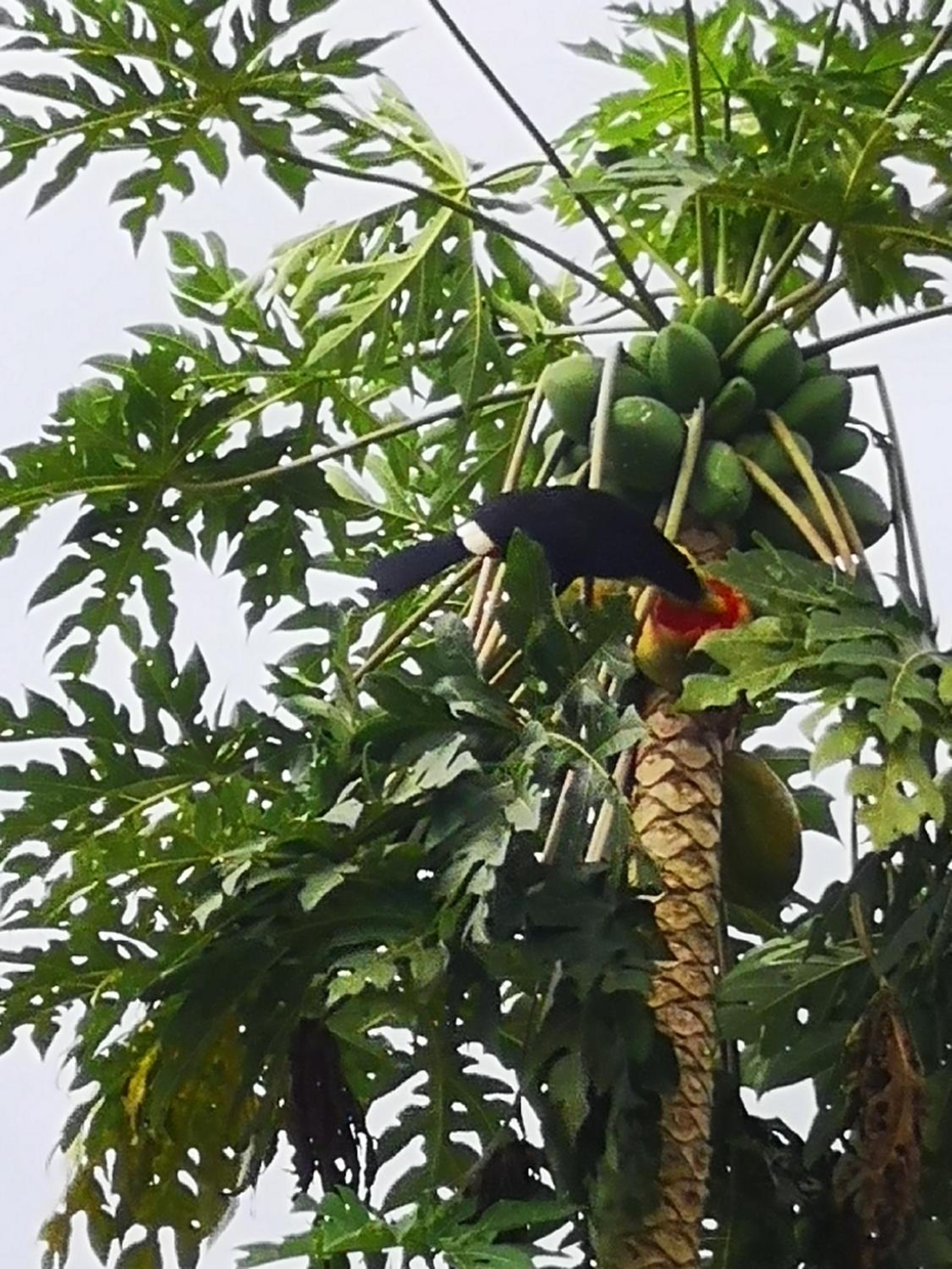 Tío Felix Eco Lodge