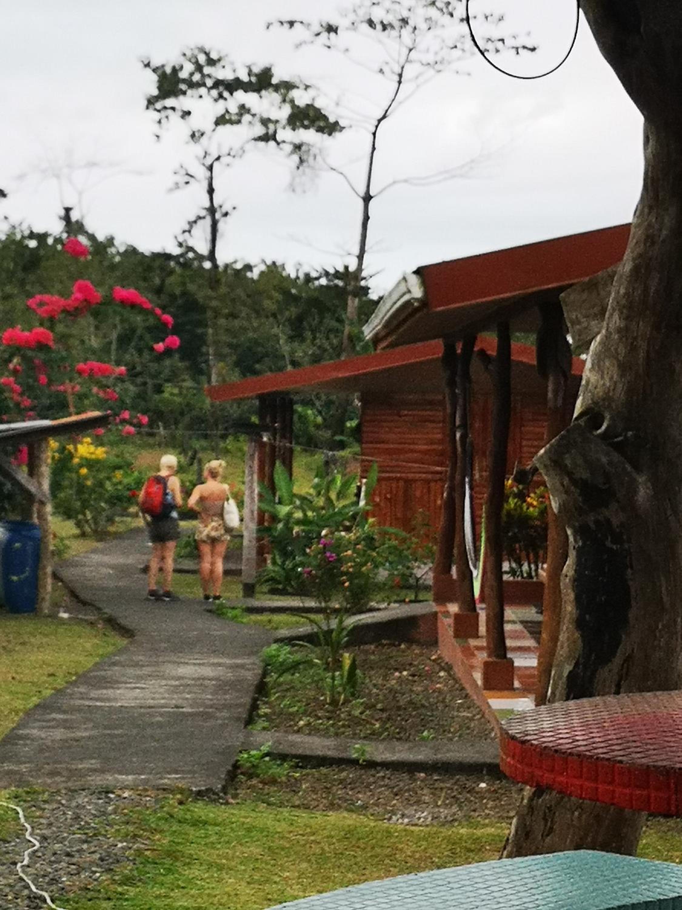 Tío Felix Eco Lodge