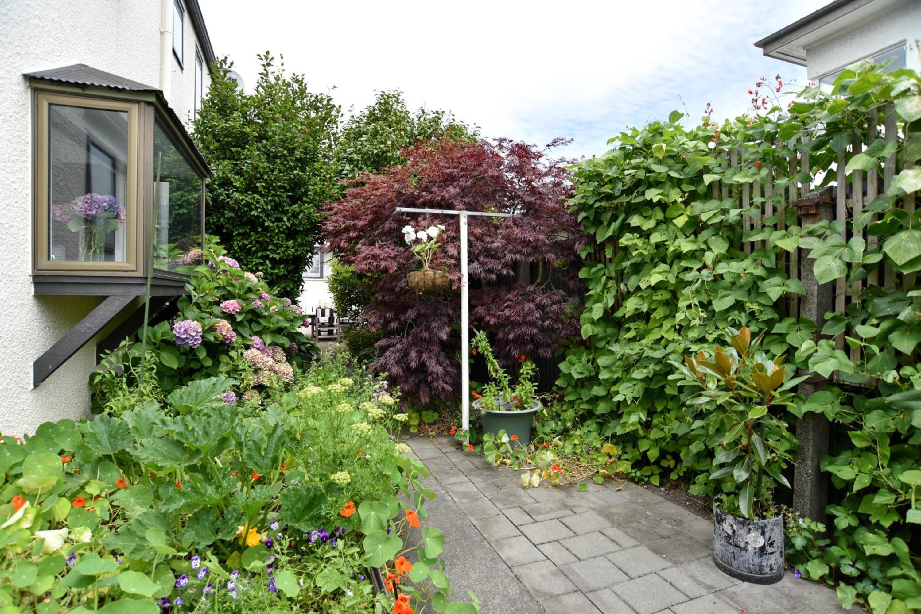 Photo 23
