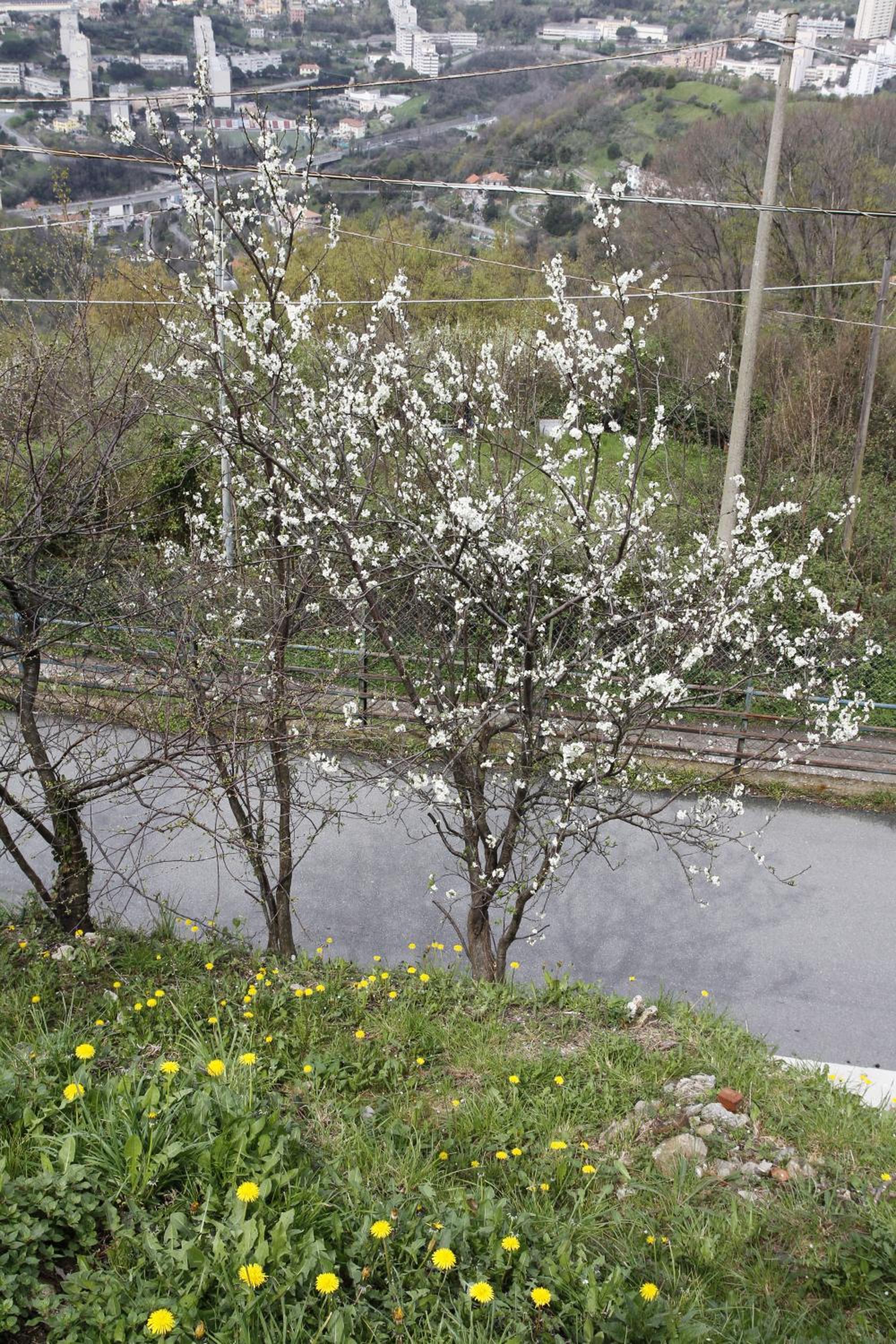 Photo 31