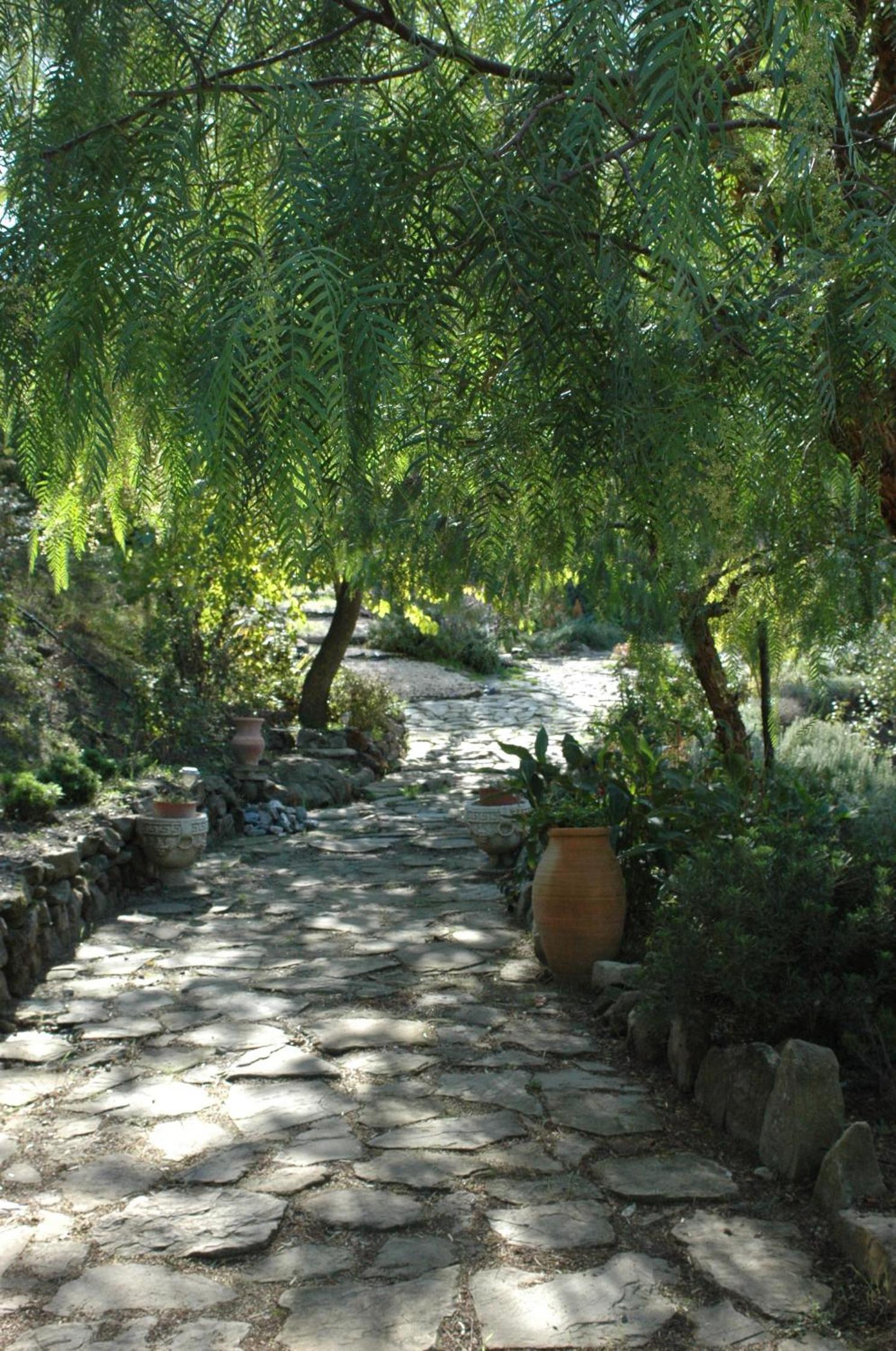 Photo 31