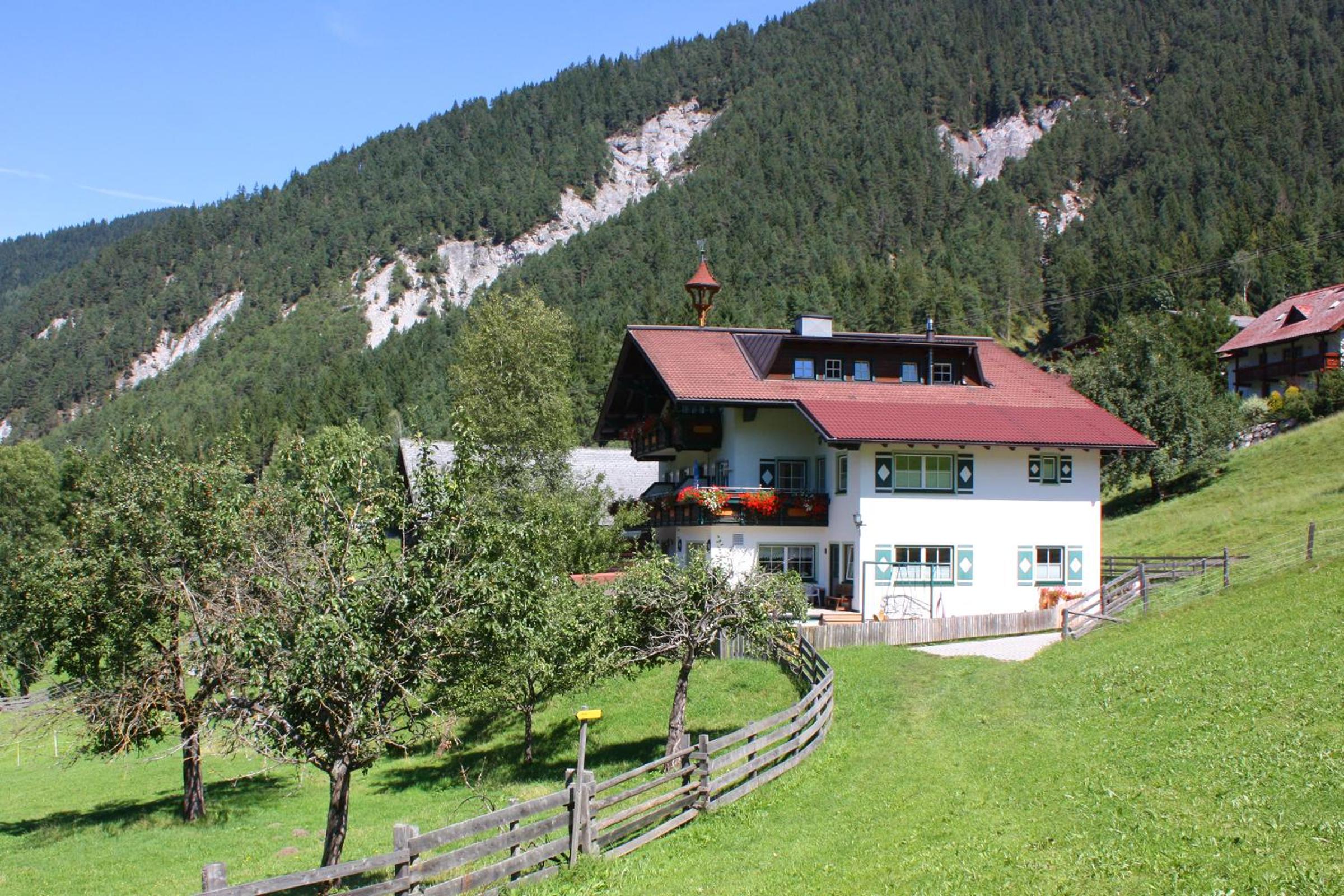 Photo 8