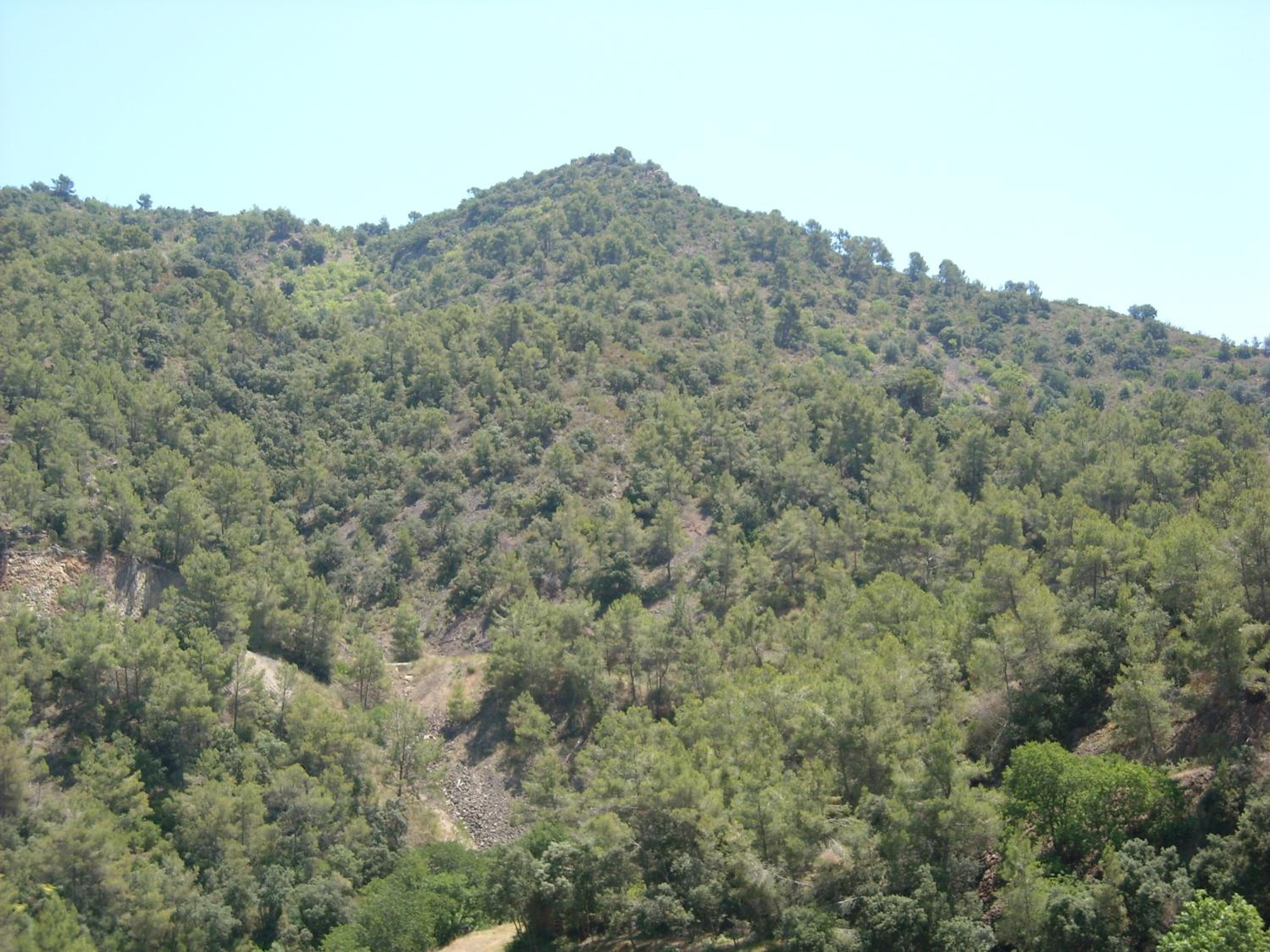 Photo 30
