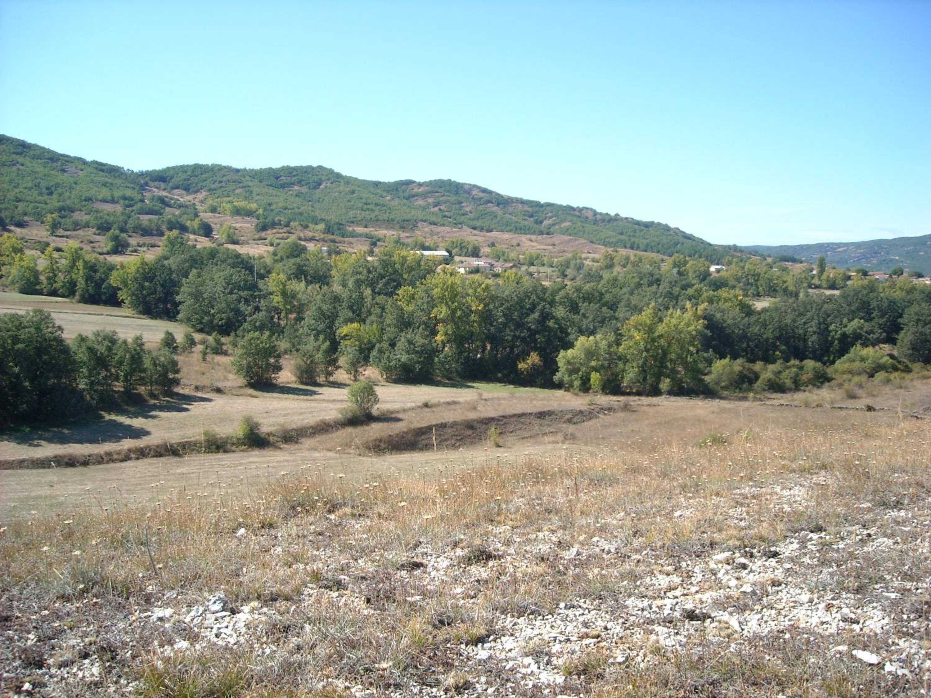 Photo 29