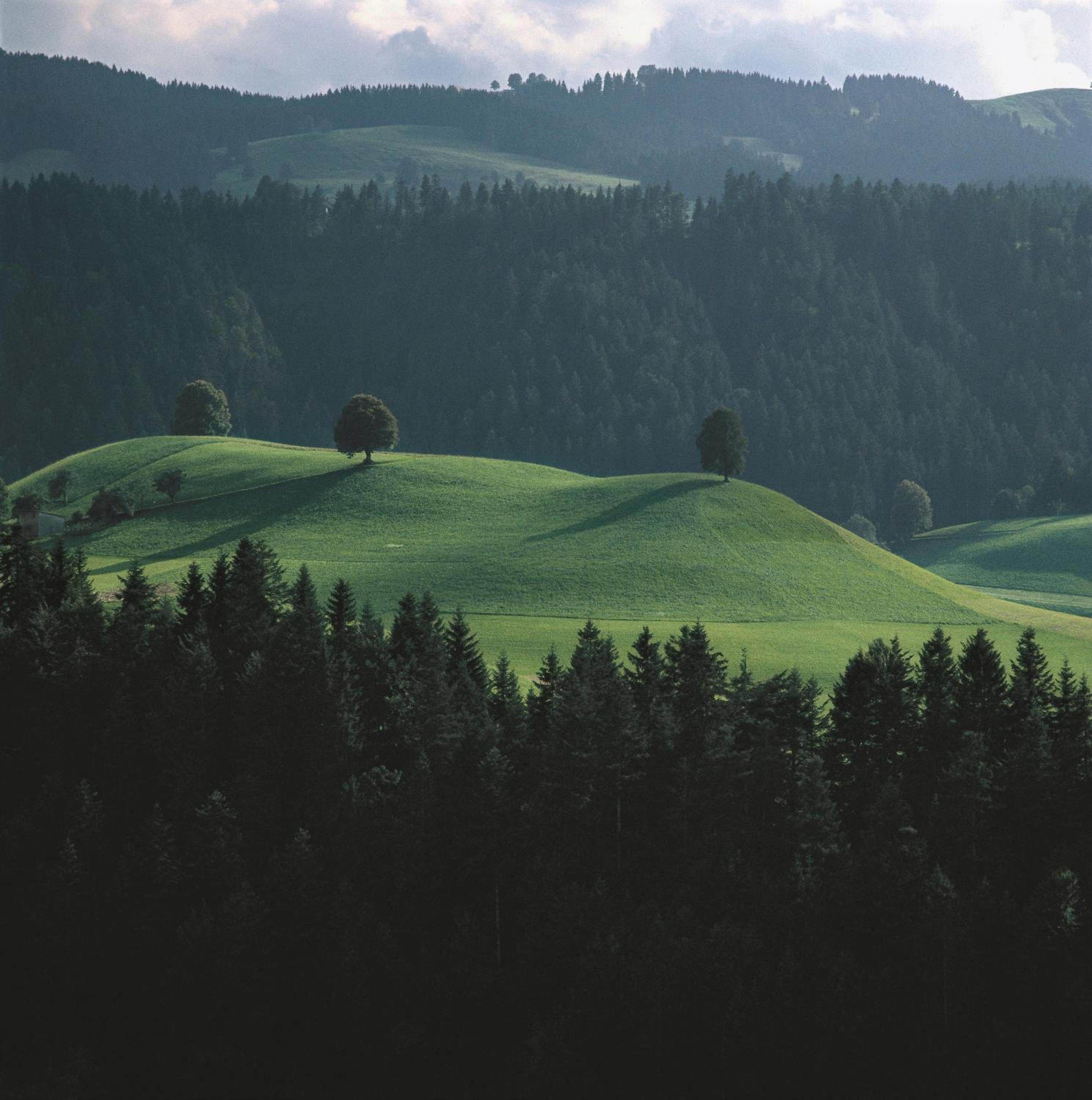 BnB SchlafSchloss