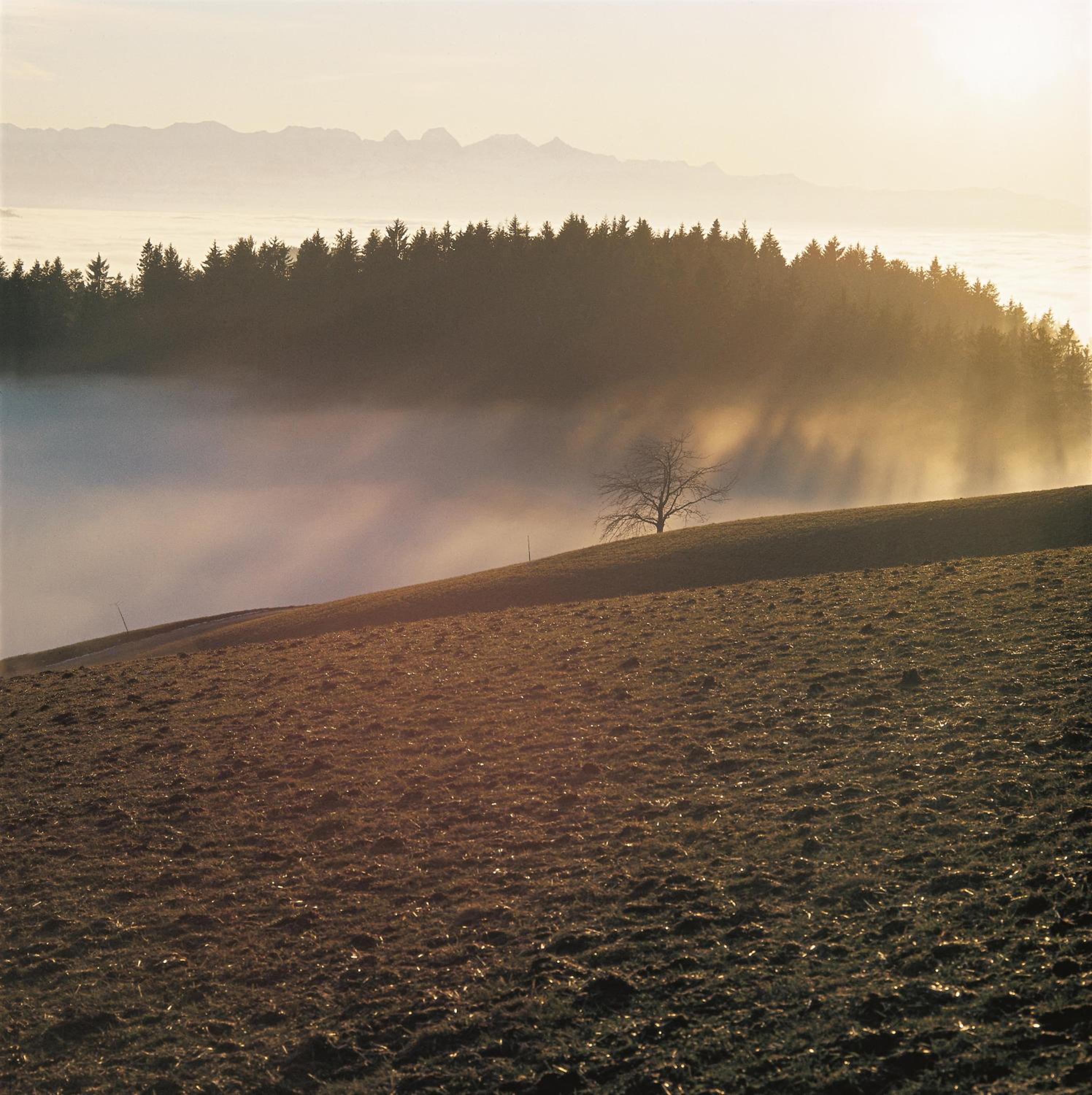 BnB SchlafSchloss