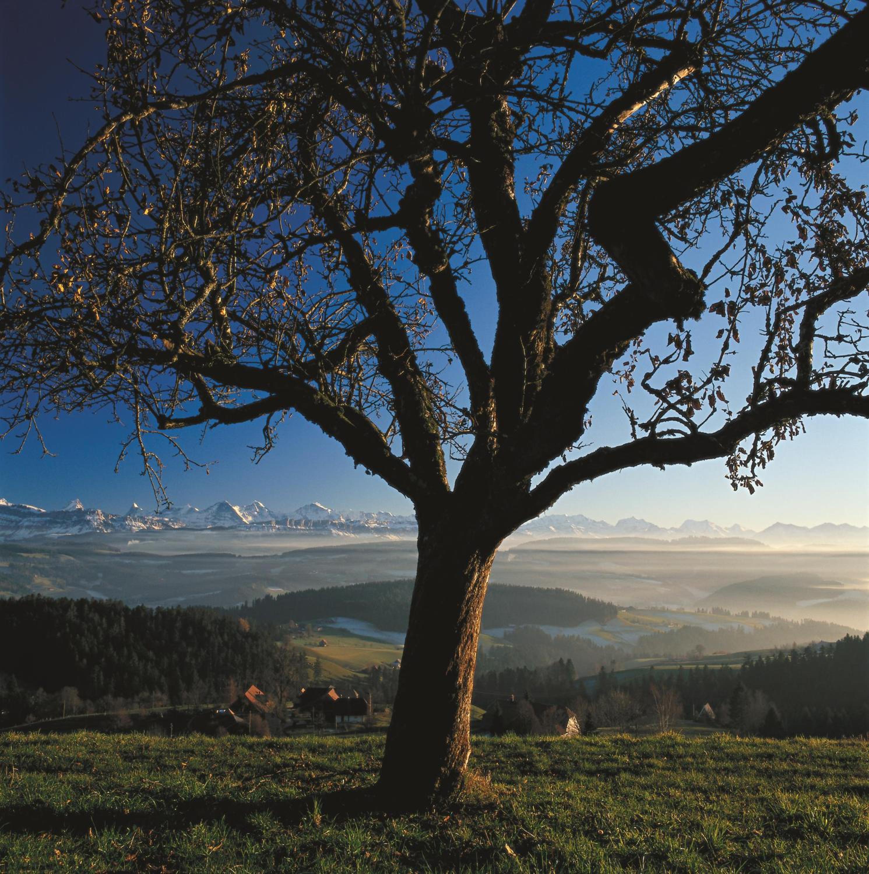 BnB SchlafSchloss