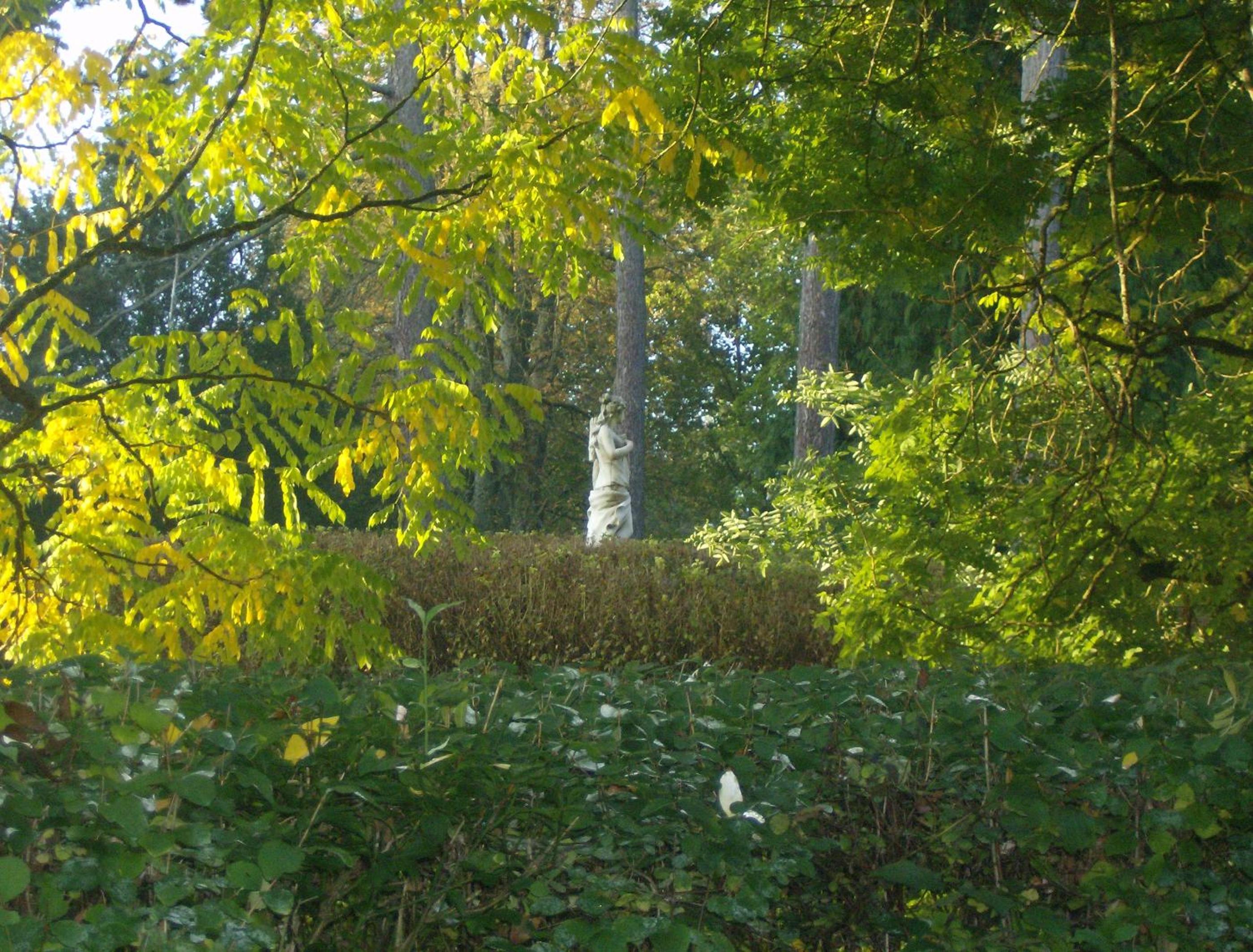 Photo 48