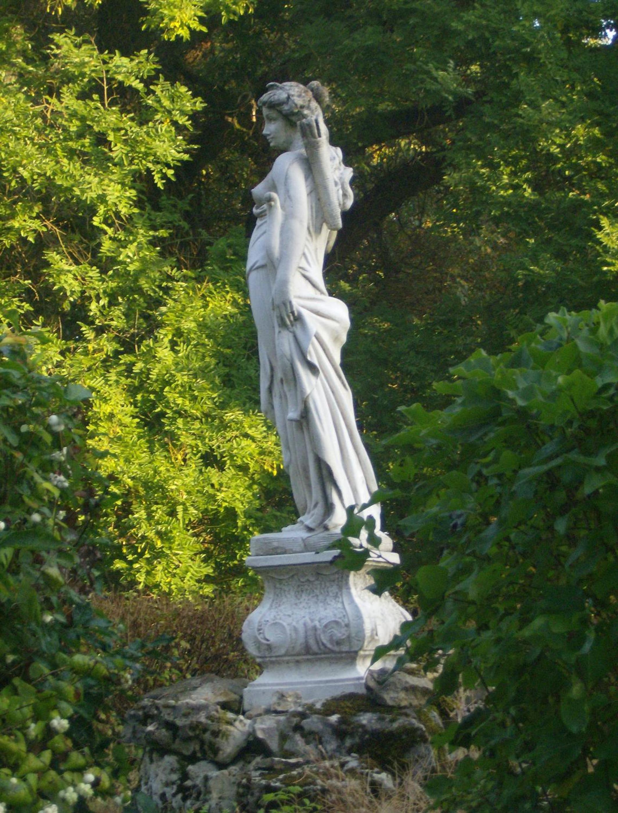 Photo 44