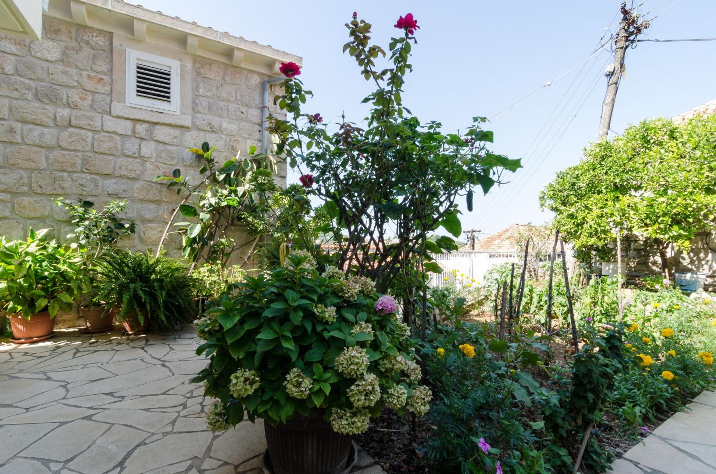 Apartments Bozica