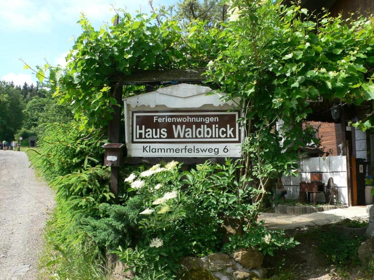 Ferienwohnungen Waldblick view 3