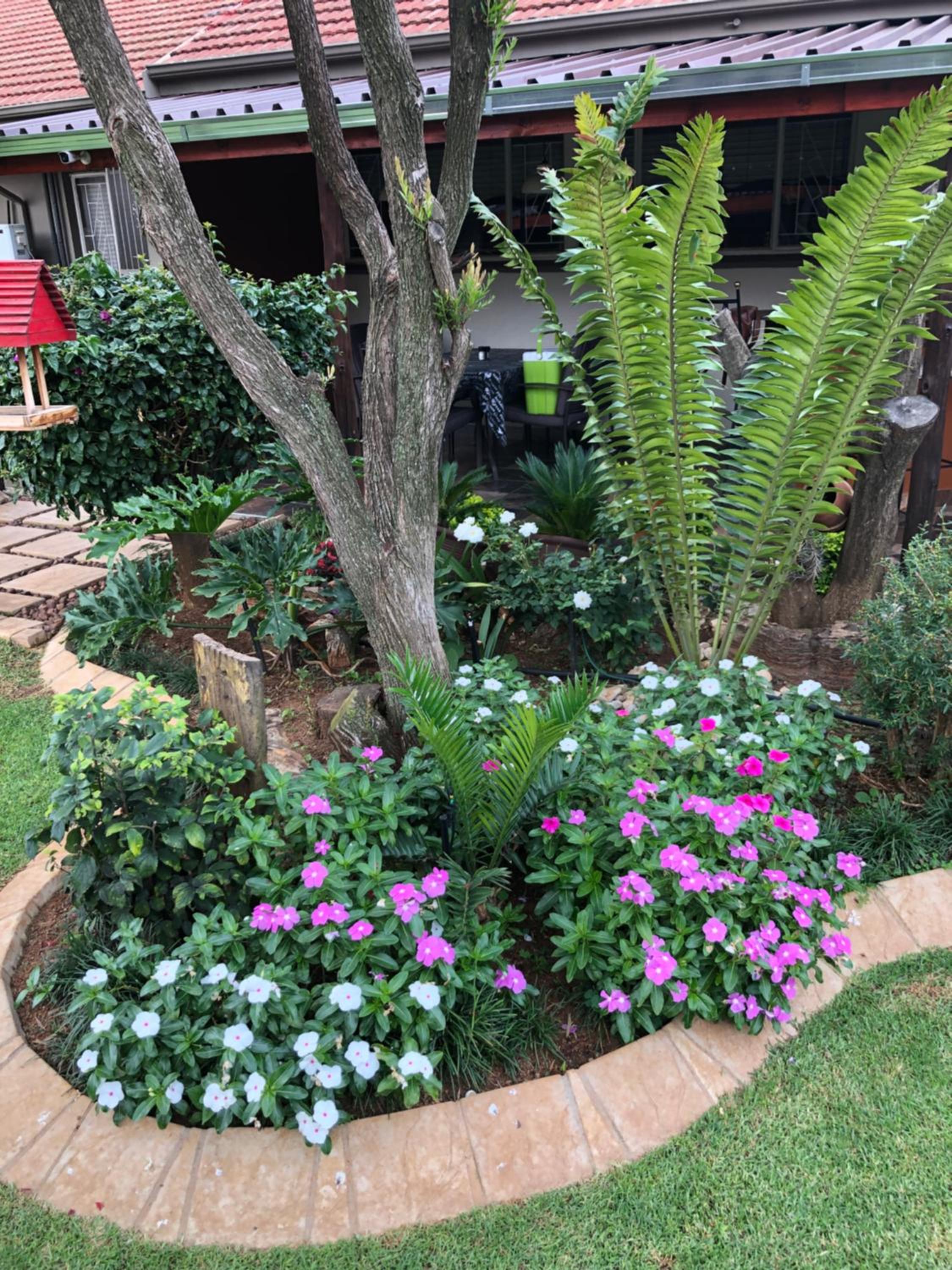 Big "5" Guesthouse view 2