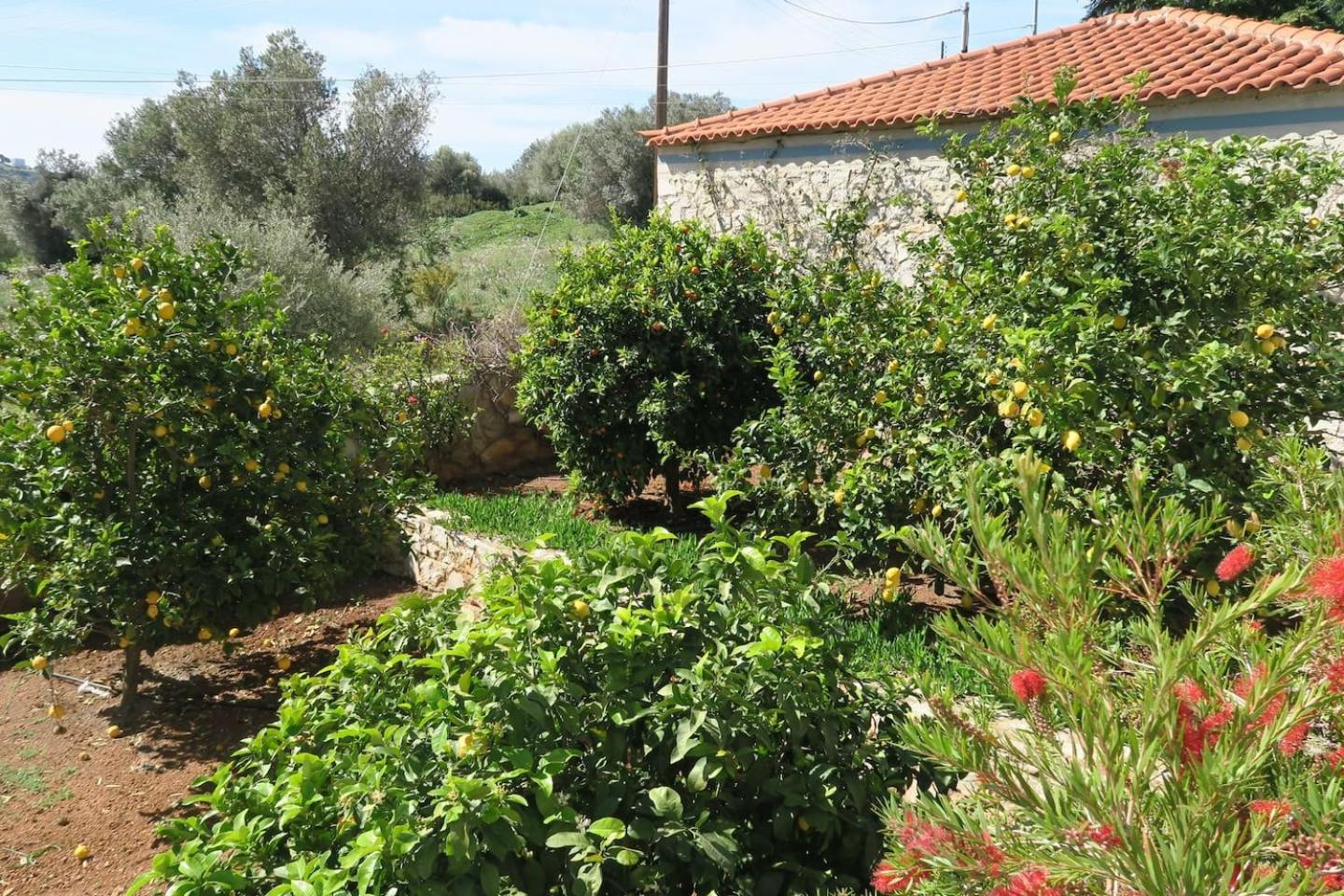 Photo 40