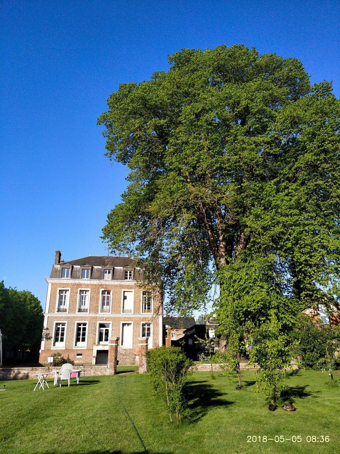 Photo 25