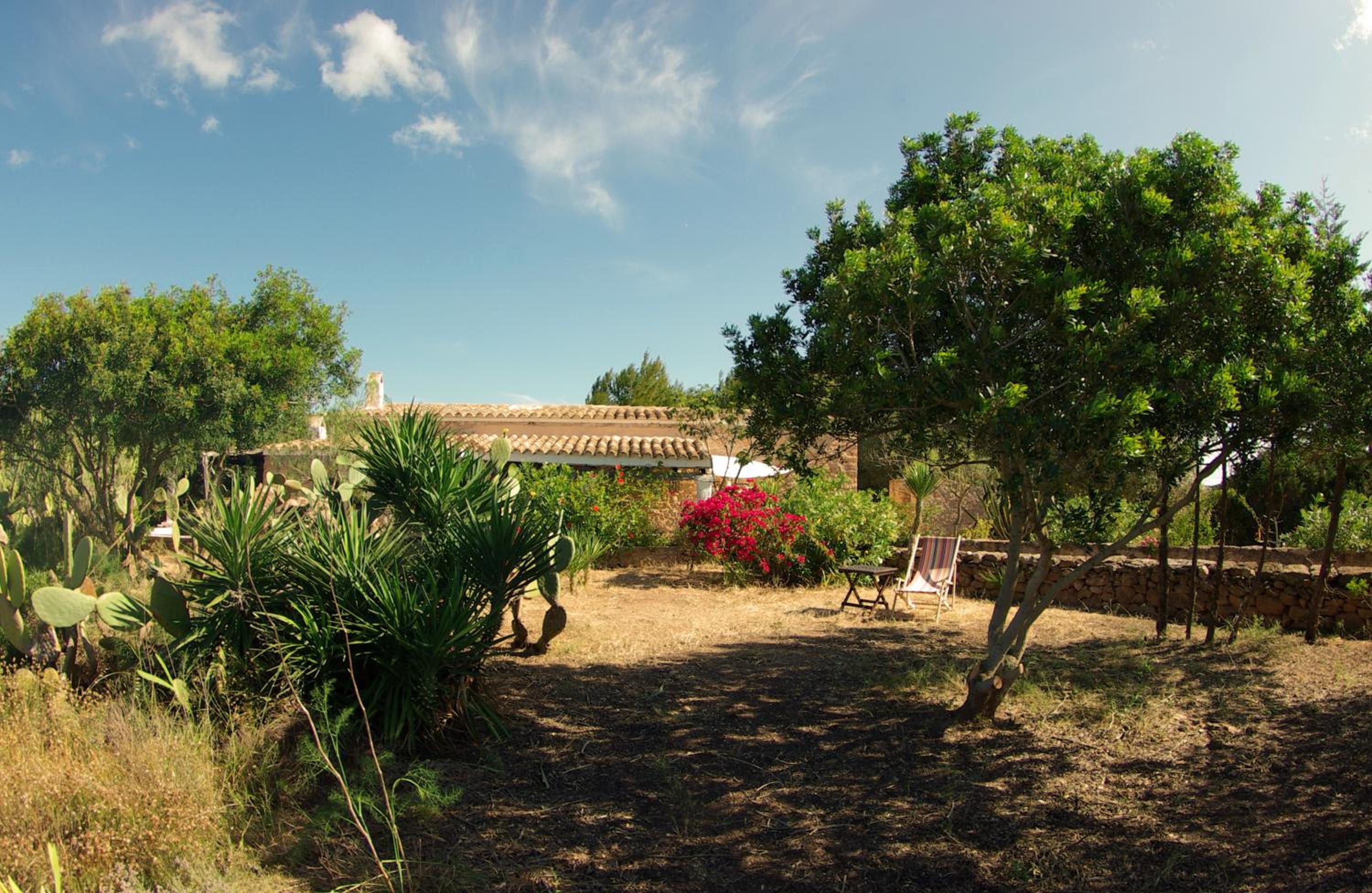 Photo 42